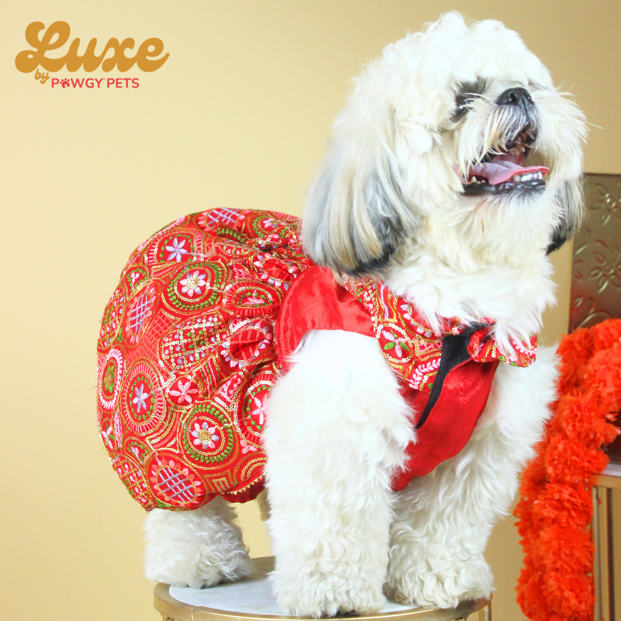 Red Embroidered Lehenga Dress | Luxe Collection | Pawgy Pets