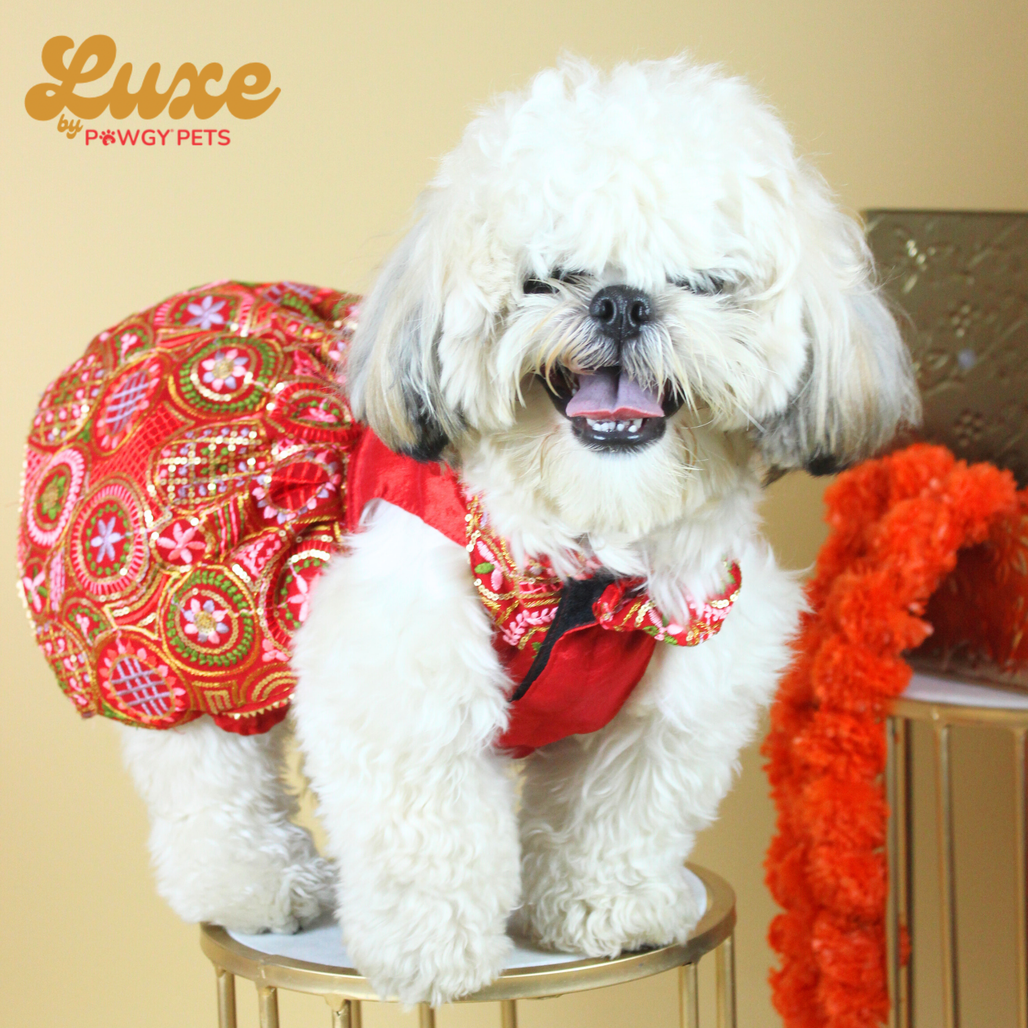 Red Embroidered Lehenga Dress | Luxe Collection | Pawgy Pets