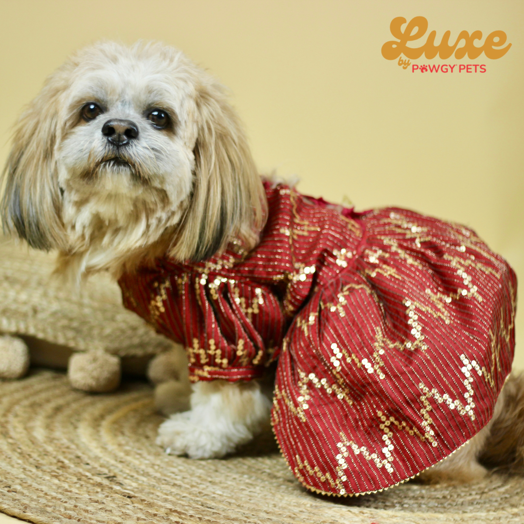 Bridal Maroon Lehenga Dress | Luxe Collection | Pawgy Pets