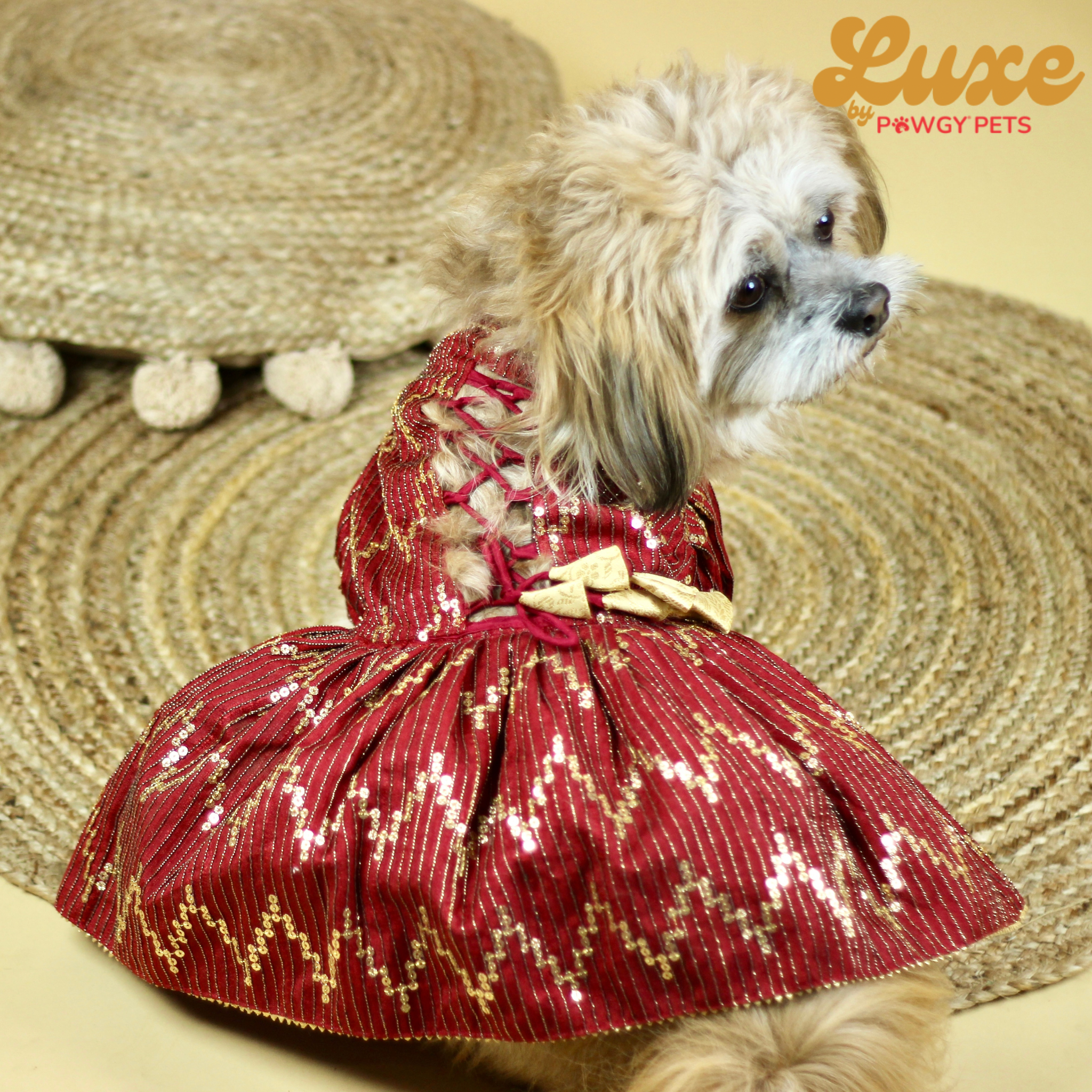 Bridal Maroon Lehenga Dress | Luxe Collection | Pawgy Pets
