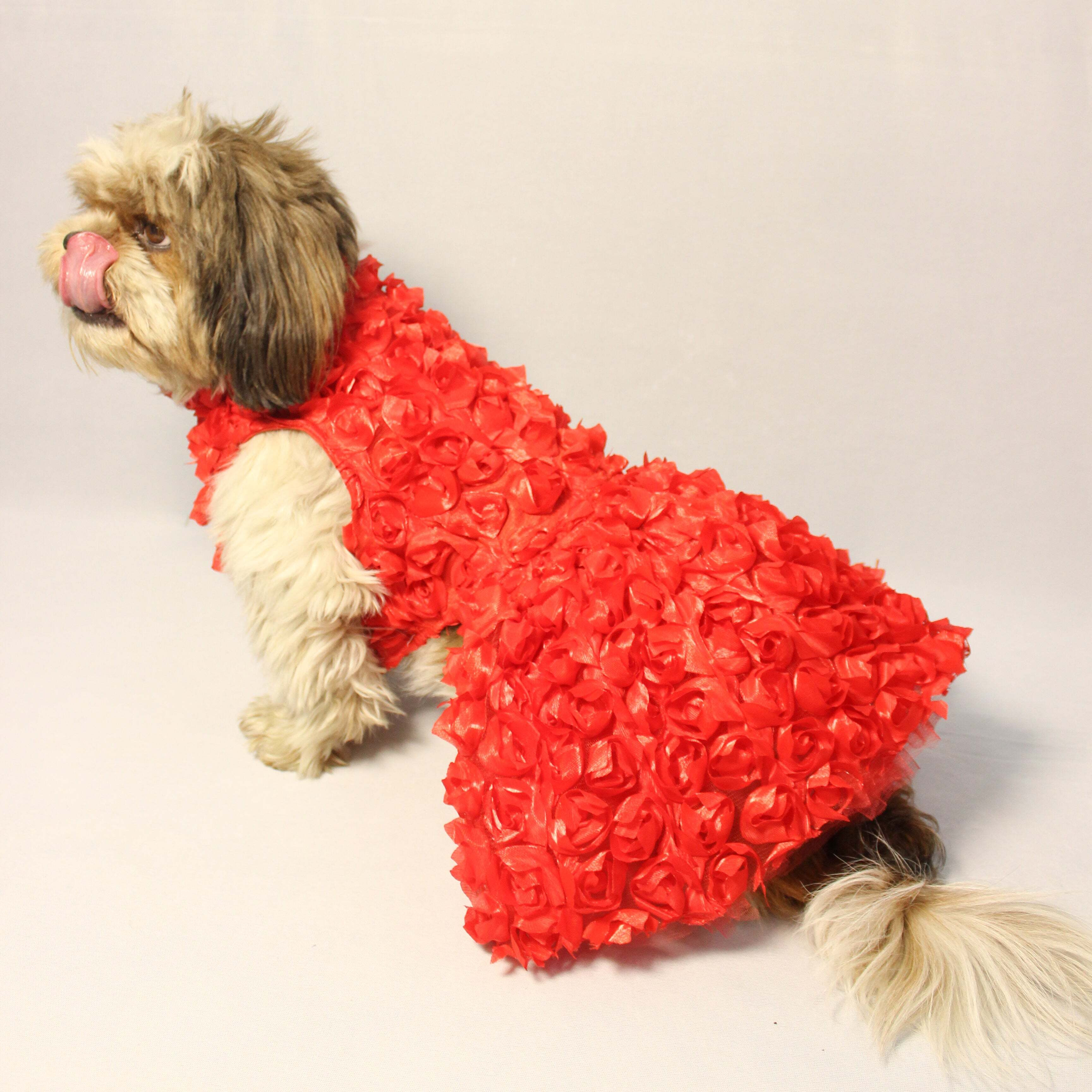 Red Rosy Tutu Dress | Luxe Collection | Pawgy Pets