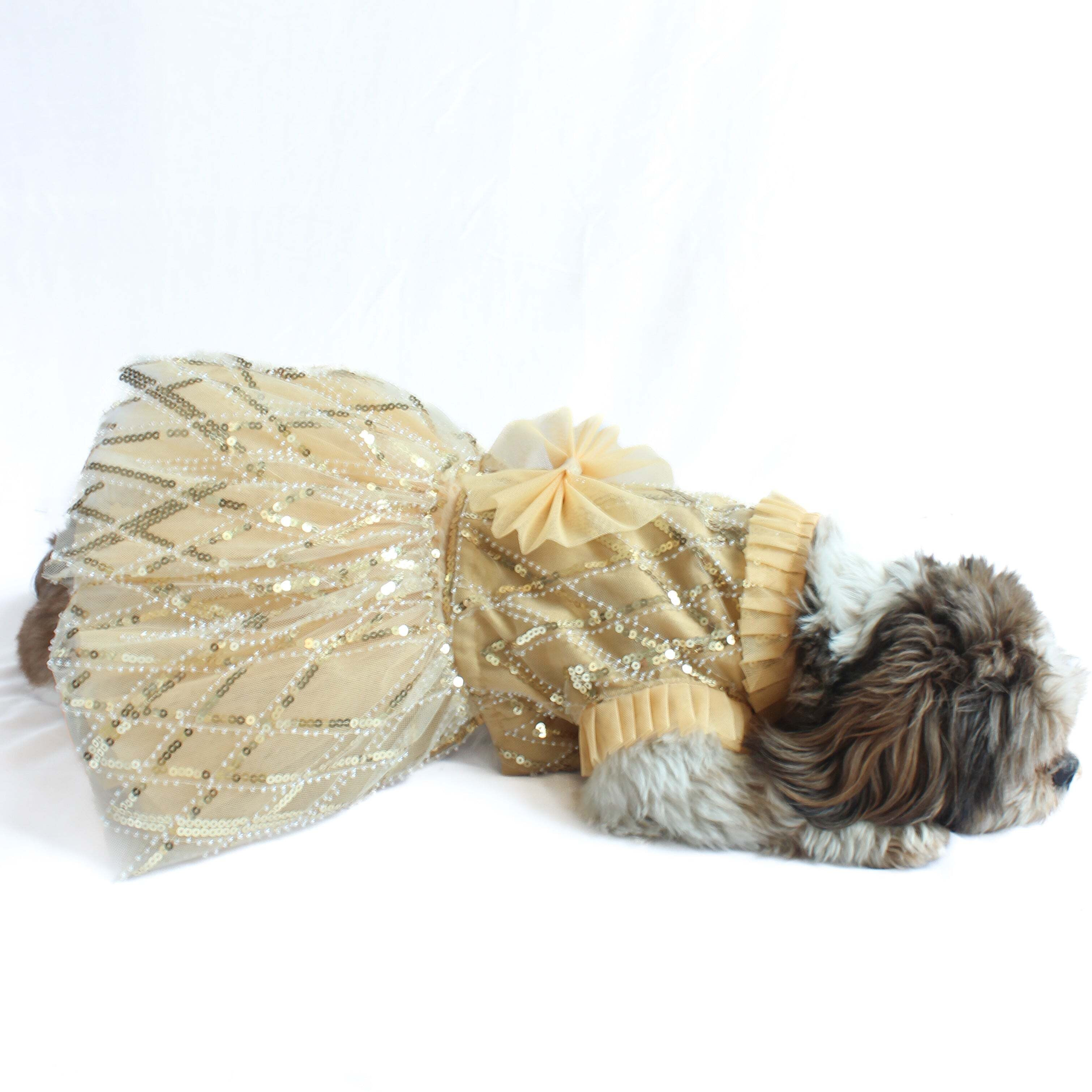Golden Tutu Dress | Luxe Collection | Pawgy Pets