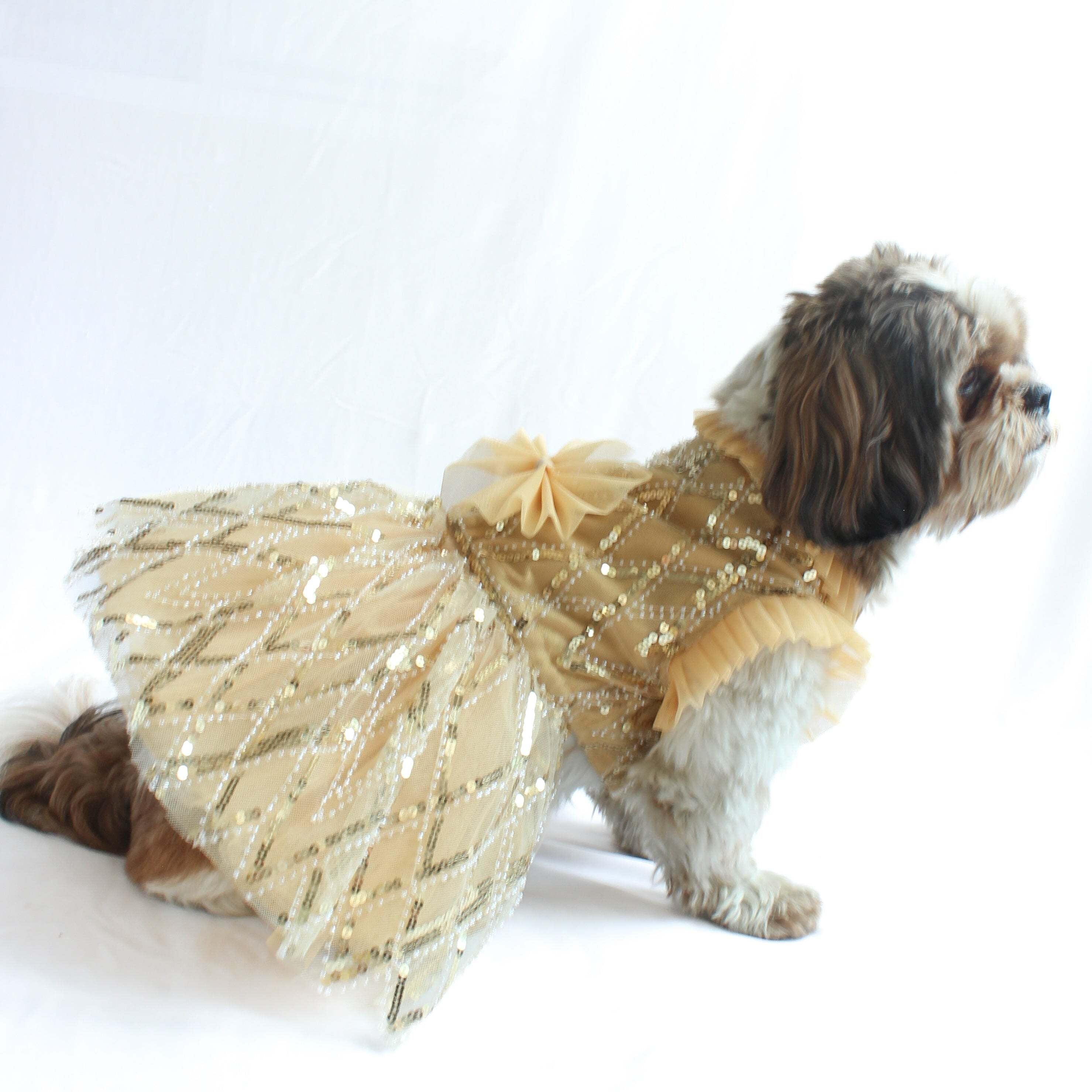 Golden Tutu Dress | Luxe Collection | Pawgy Pets