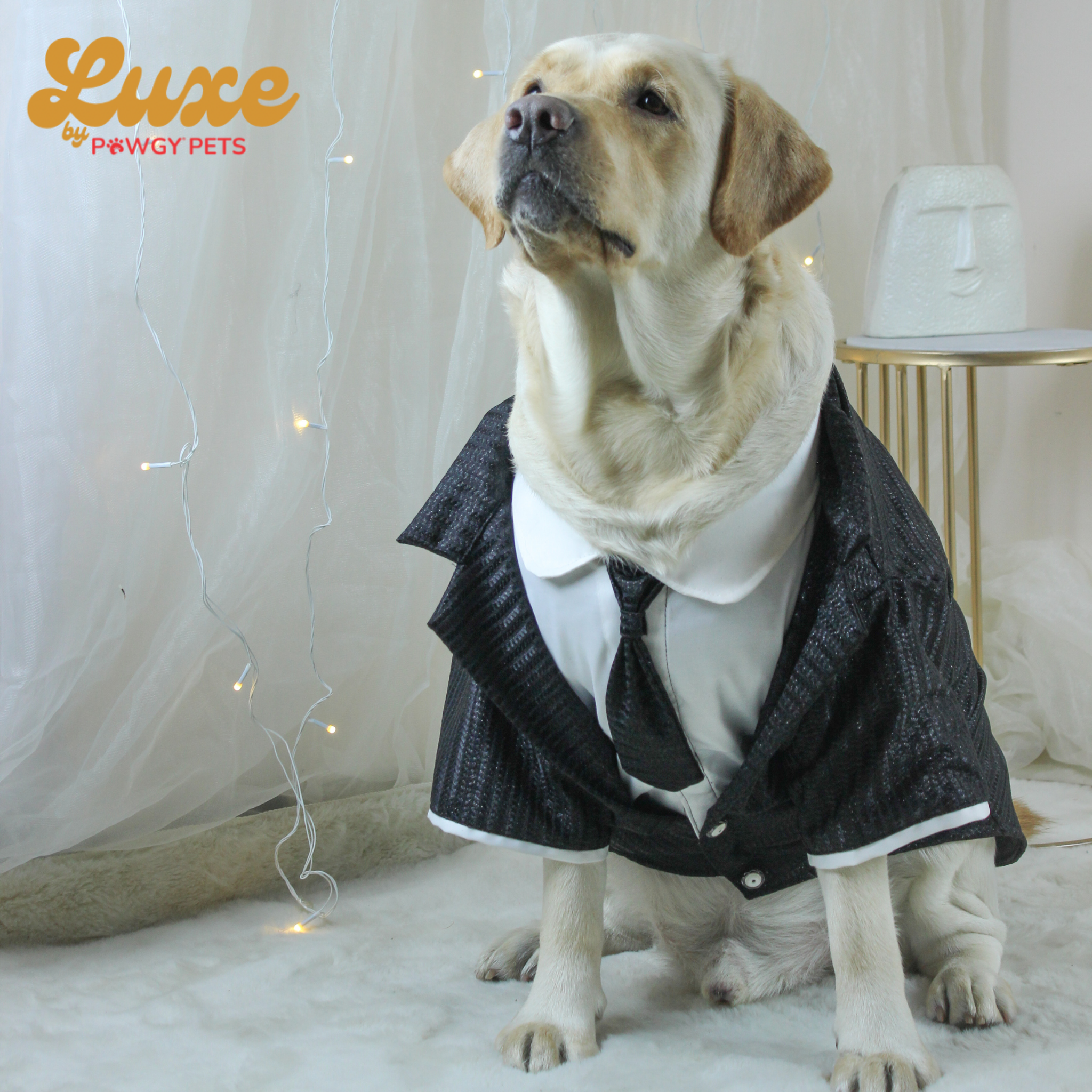 Black Shimmering Tie Tuxedo | Luxe Collection | Pawgy Pets