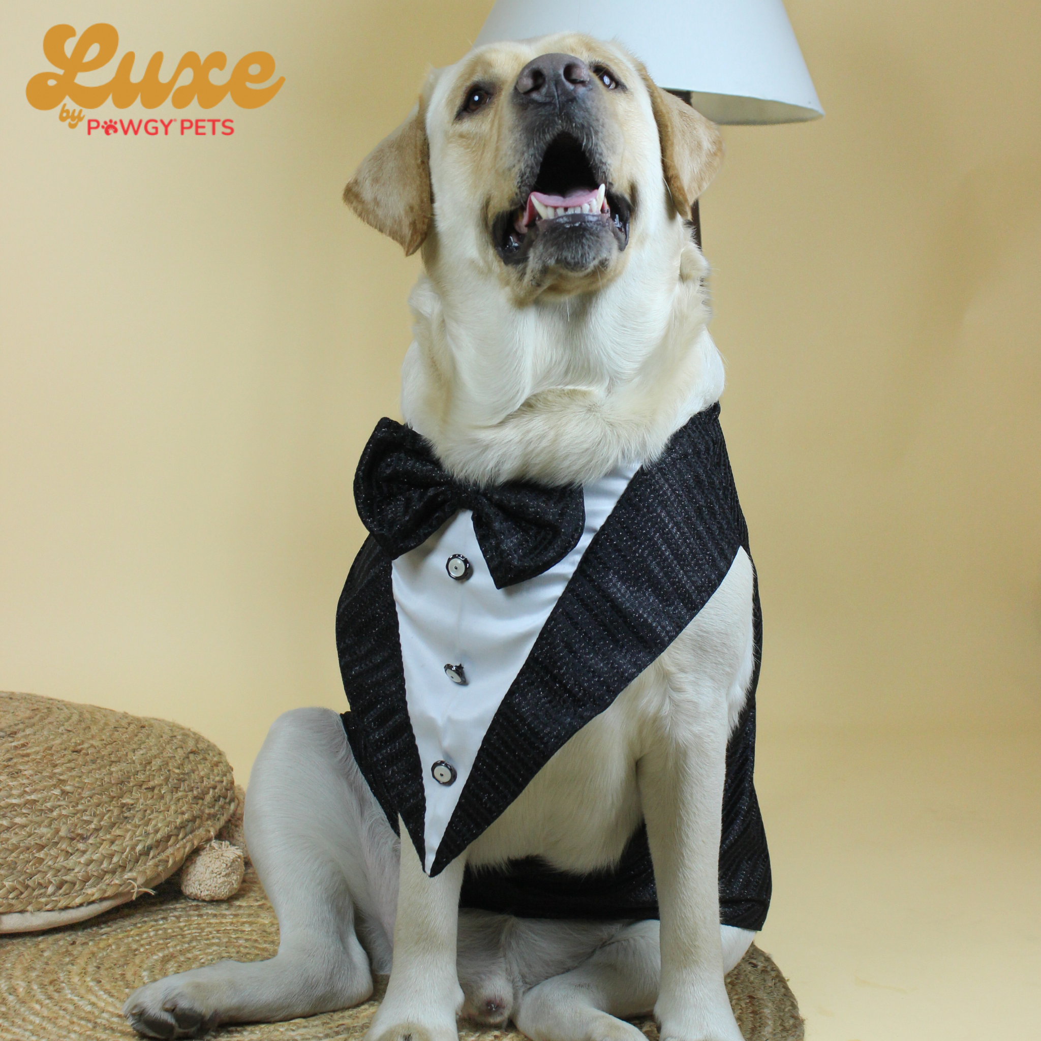 Black Shimmering Bowtie Tuxedo | Luxe Collection | Pawgy Pets
