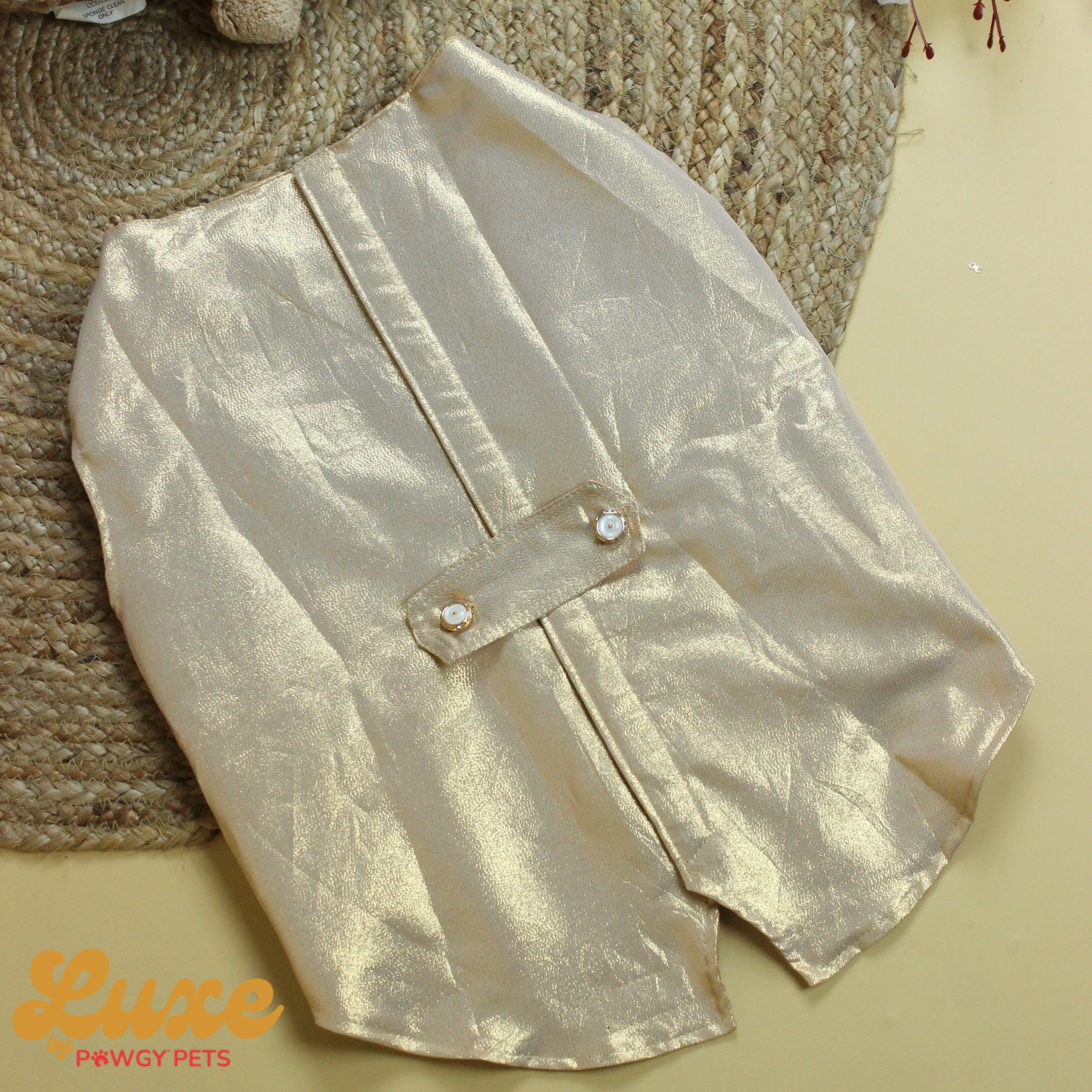Golden Tuxedo | Luxe Collection | Pawgy Pets