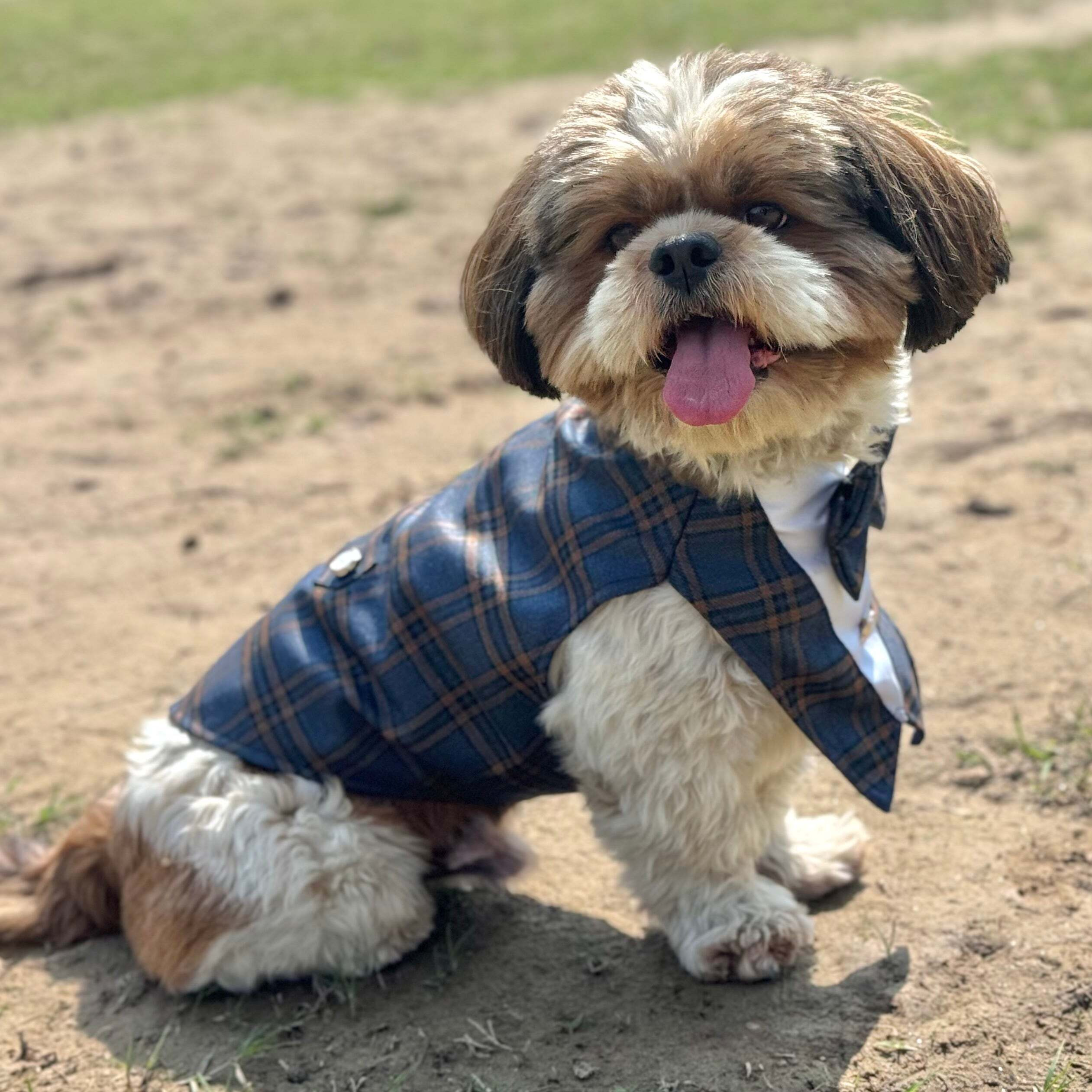 Navy Blue Check Bowtie Tuxedo | Luxe Collection | Pawgy Pets
