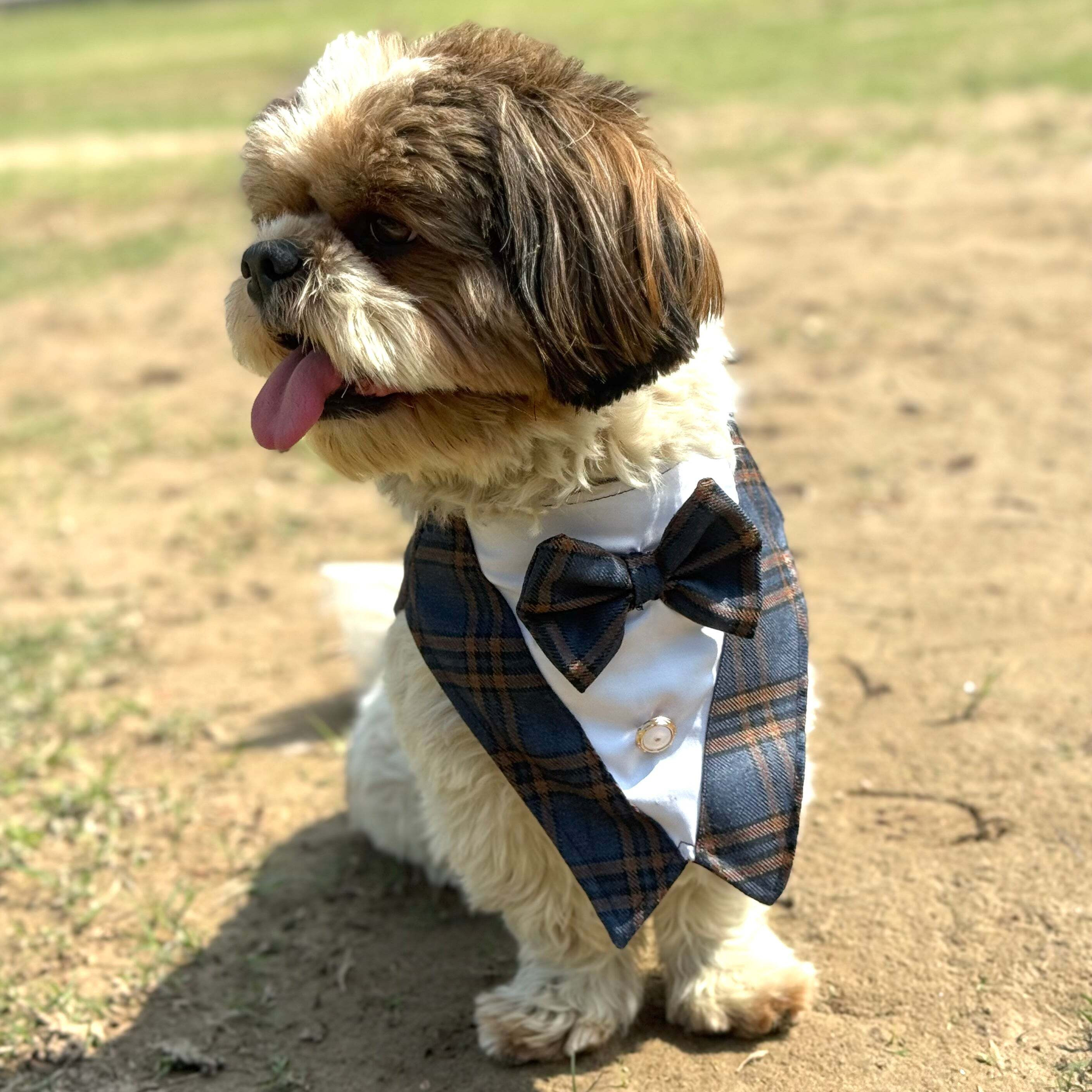 Navy Blue Check Bowtie Tuxedo | Luxe Collection | Pawgy Pets