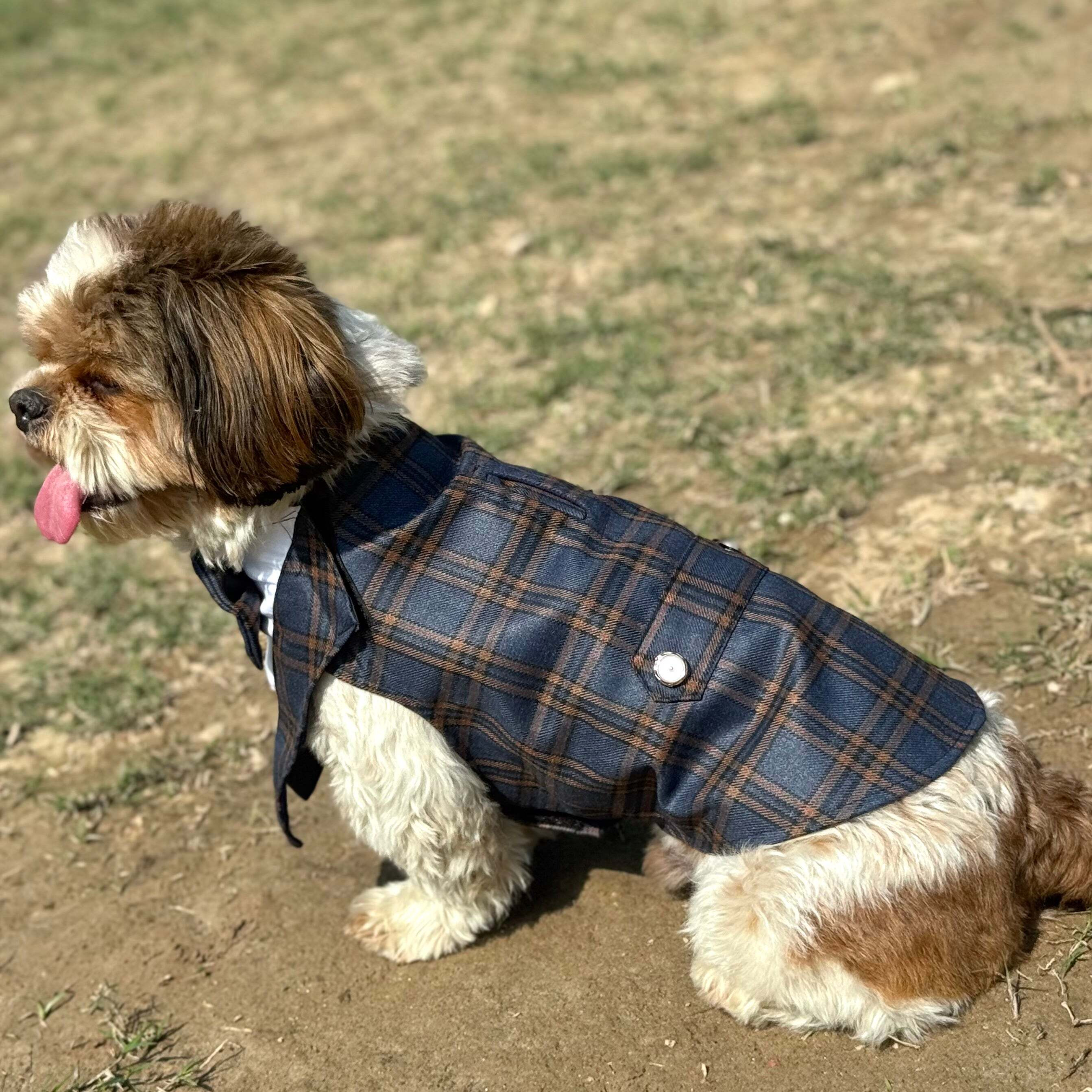 Navy Blue Check Bowtie Tuxedo | Luxe Collection | Pawgy Pets