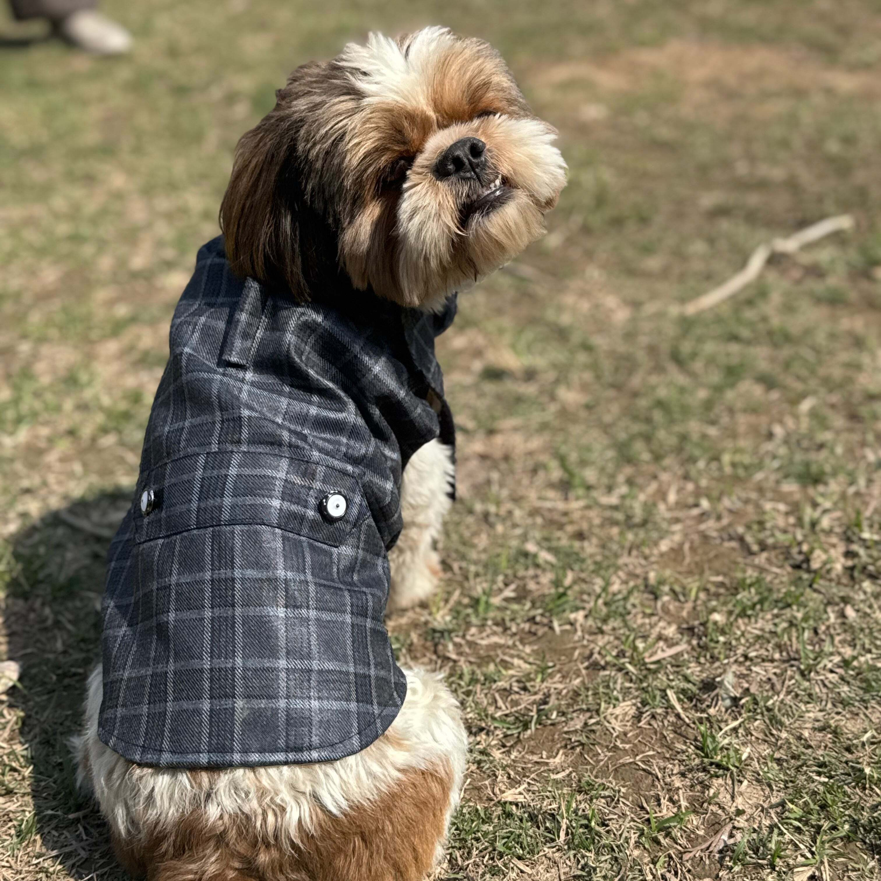 Grey Check Bowtie Tuxedo | Luxe Collection | Pawgy Pets
