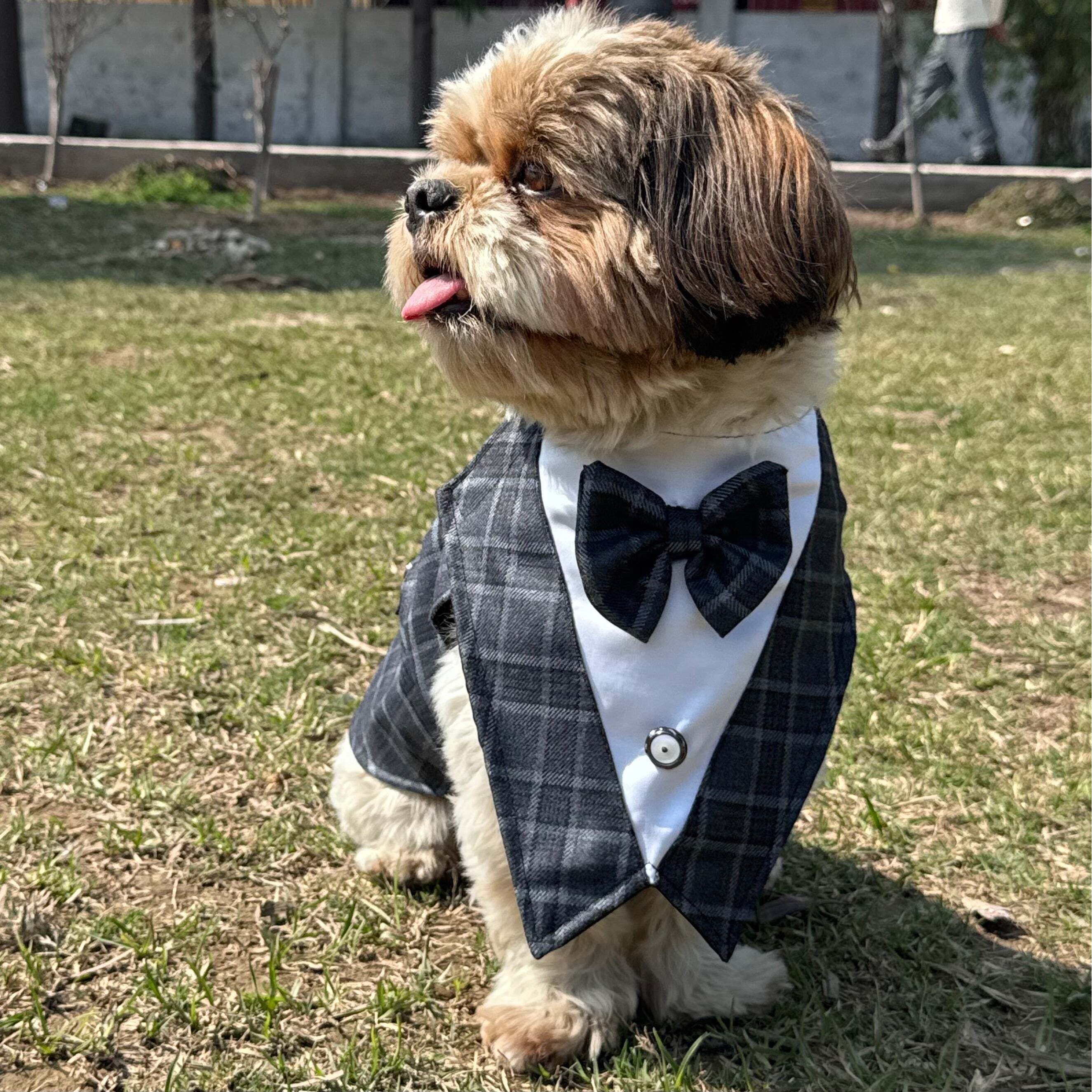Grey Check Bowtie Tuxedo | Luxe Collection | Pawgy Pets