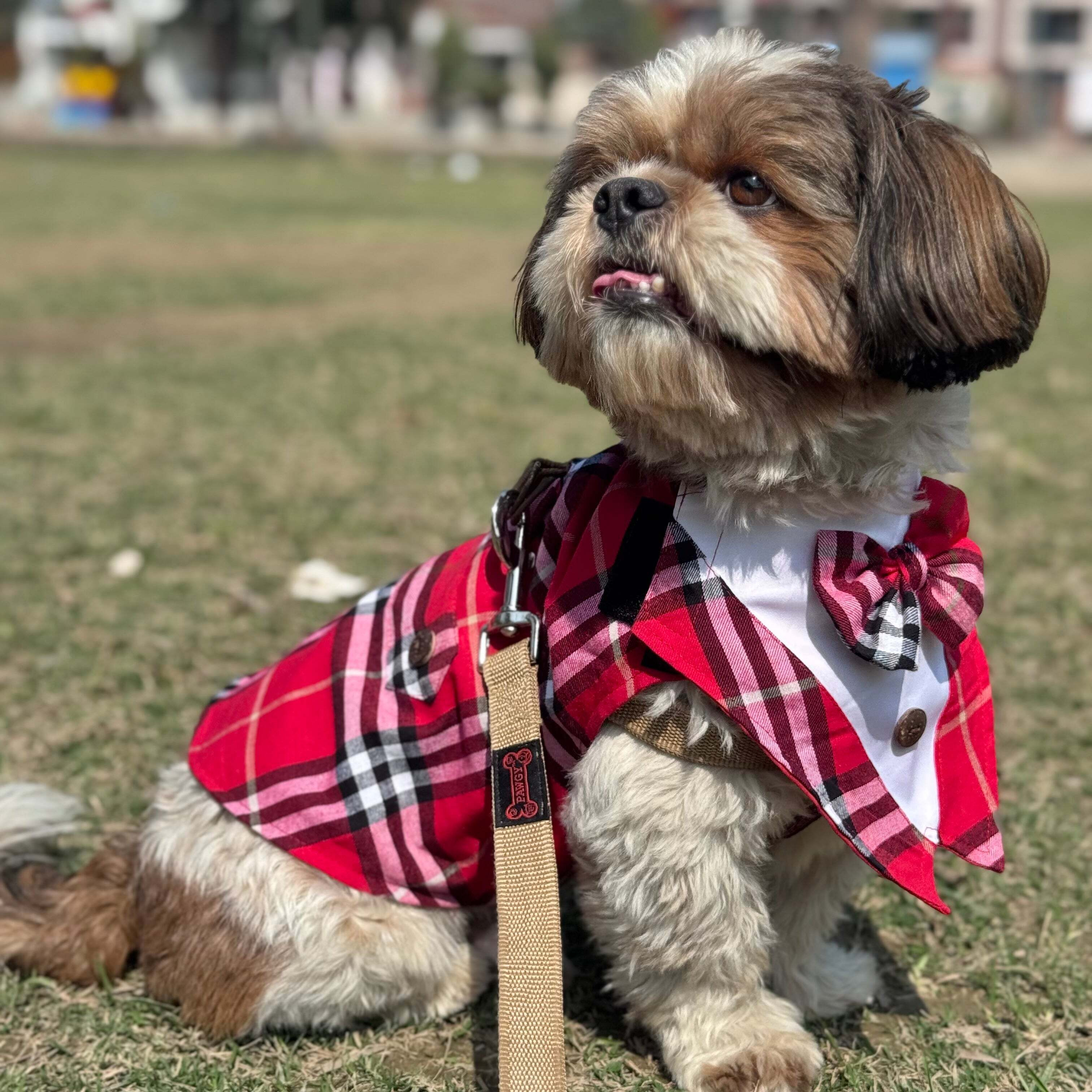 Red Check Bowtie Tuxedo | Luxe Collection | Pawgy Pets