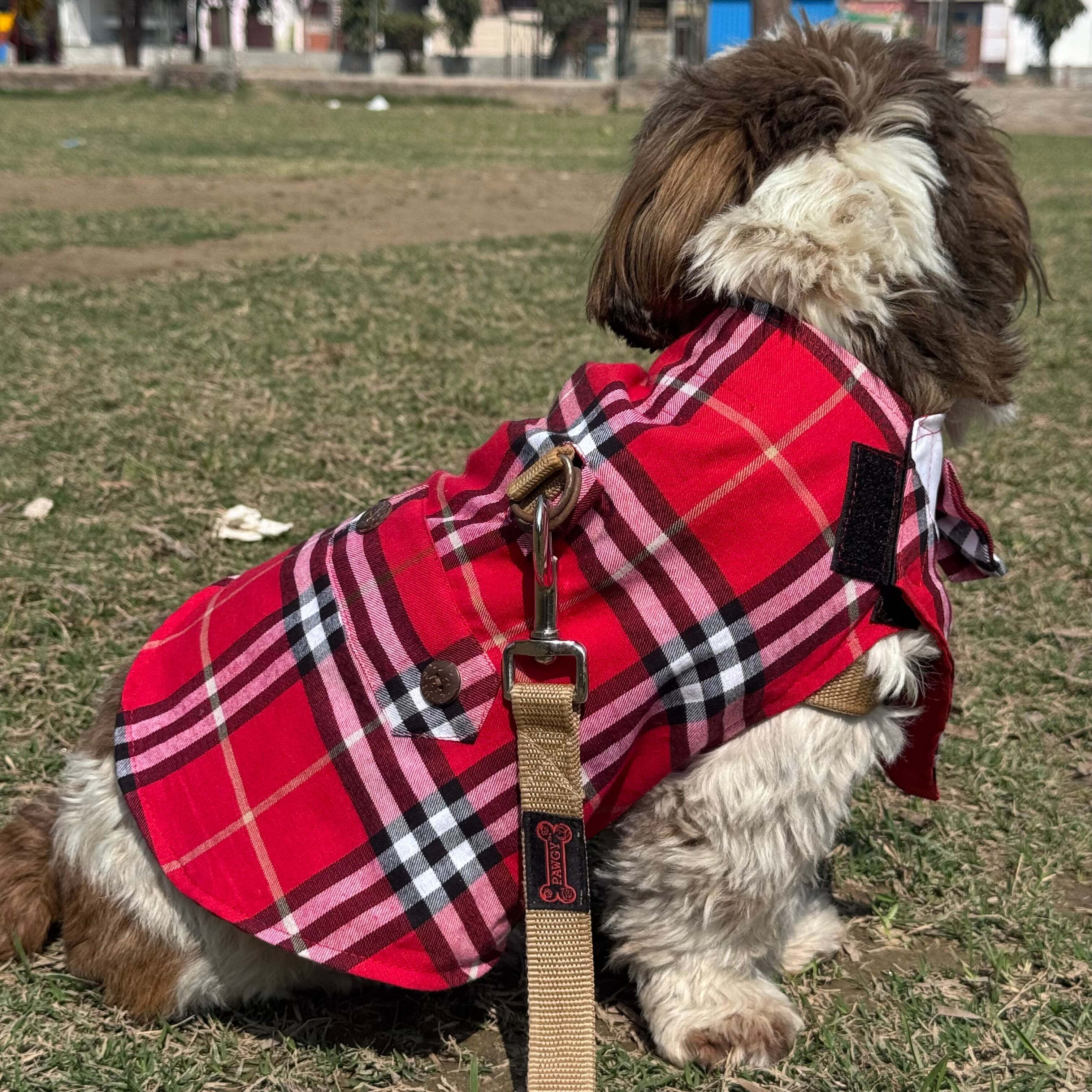 Red Check Bowtie Tuxedo | Luxe Collection | Pawgy Pets
