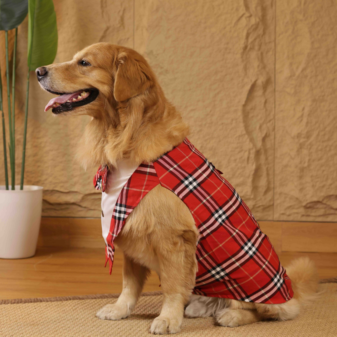 Red Check Bowtie Tuxedo | Luxe Collection | Pawgy Pets