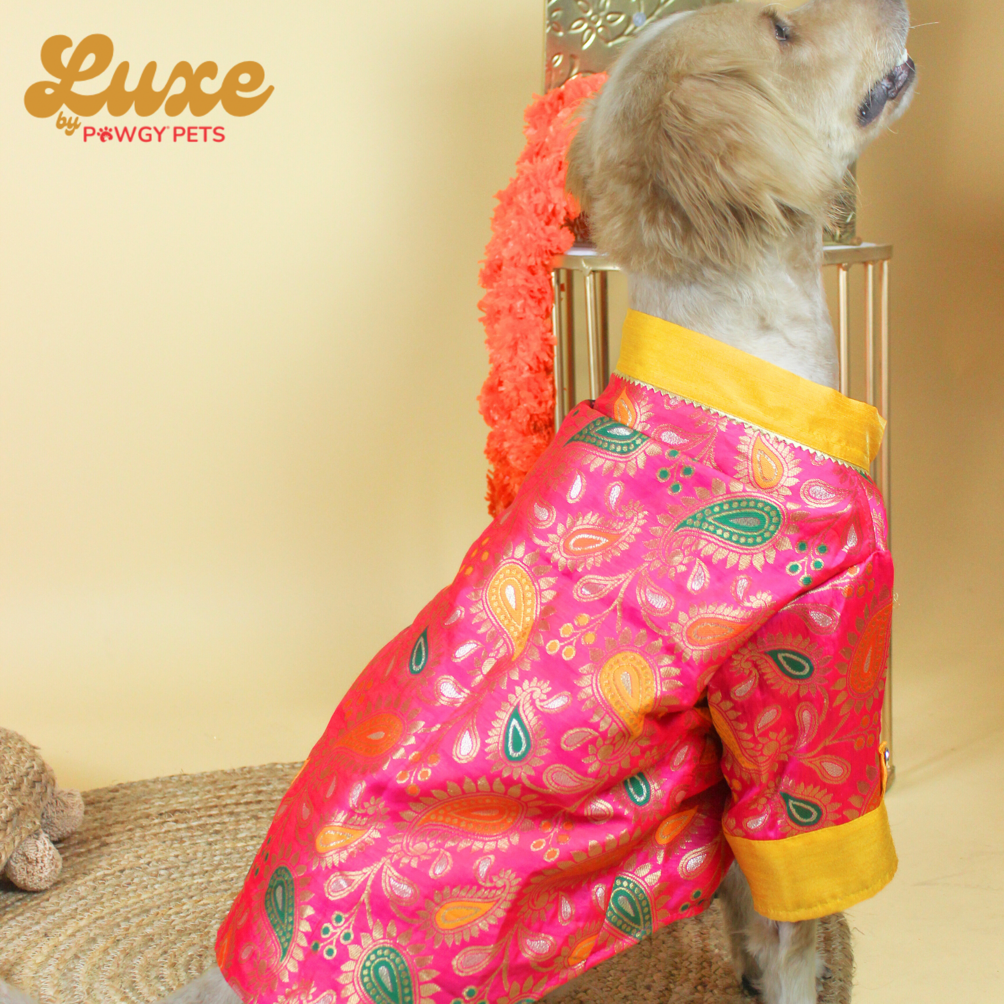 Pink Brocade Kurta | Luxe Collection | Pawgy Pets