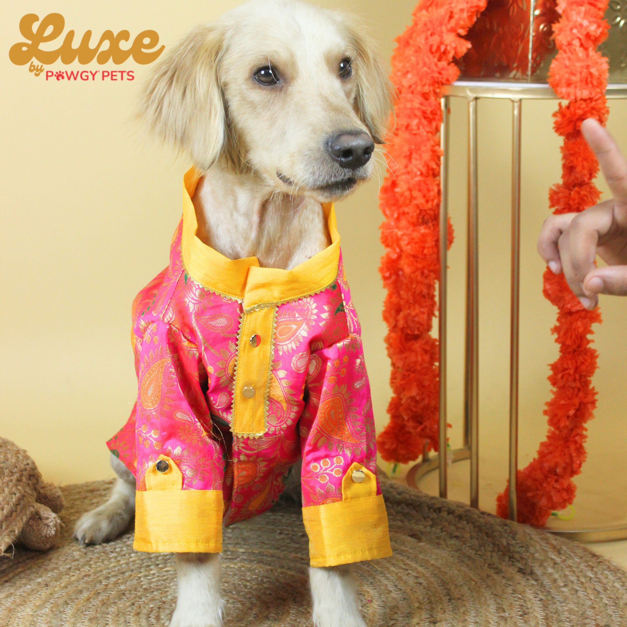 Pink Brocade Kurta | Luxe Collection | Pawgy Pets