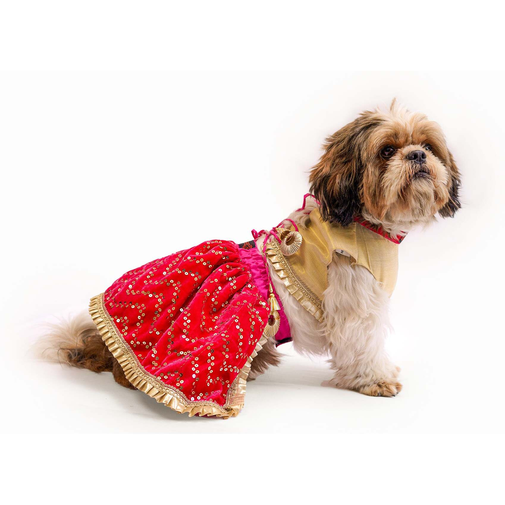 Pink Velvet & Golden Lehenga | For Dogs | Pawgy Pets