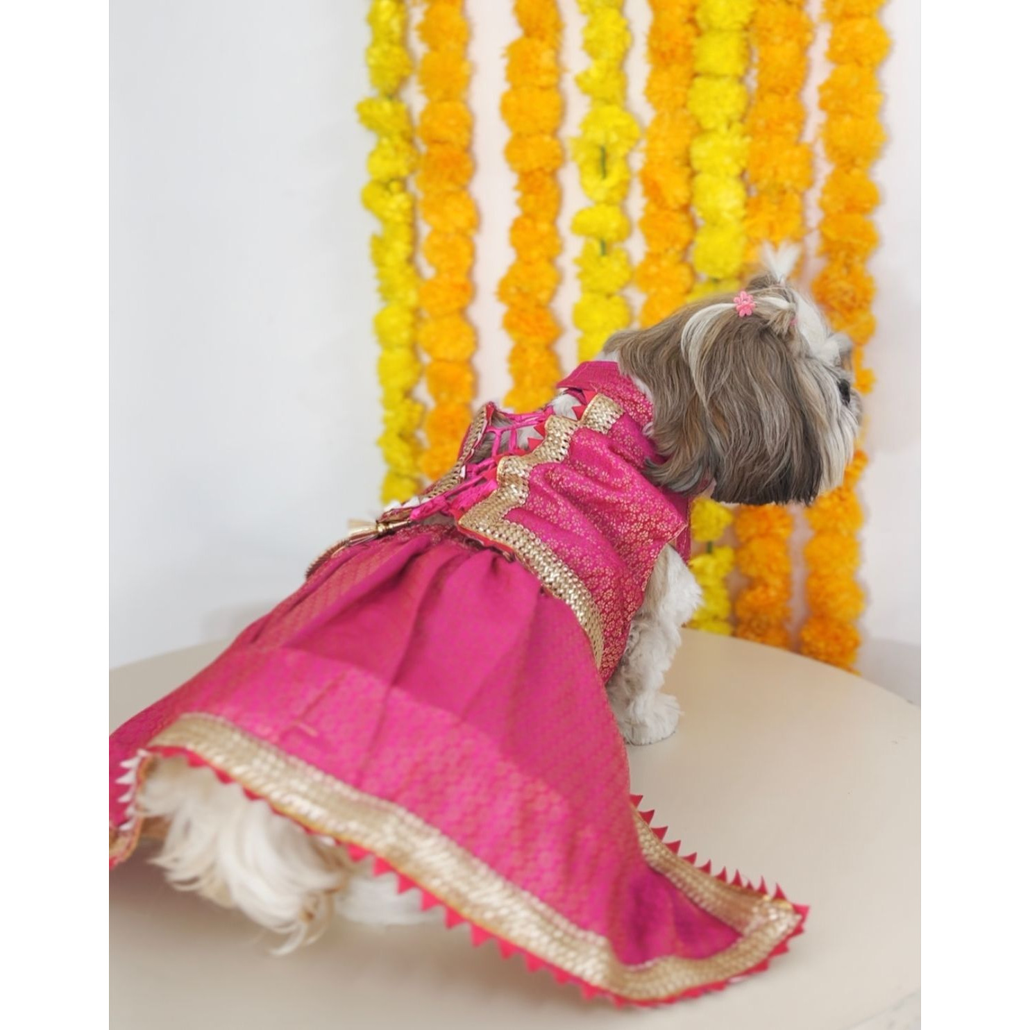 Pink Brocade Lehenga | For Dogs | Pawgy Pets