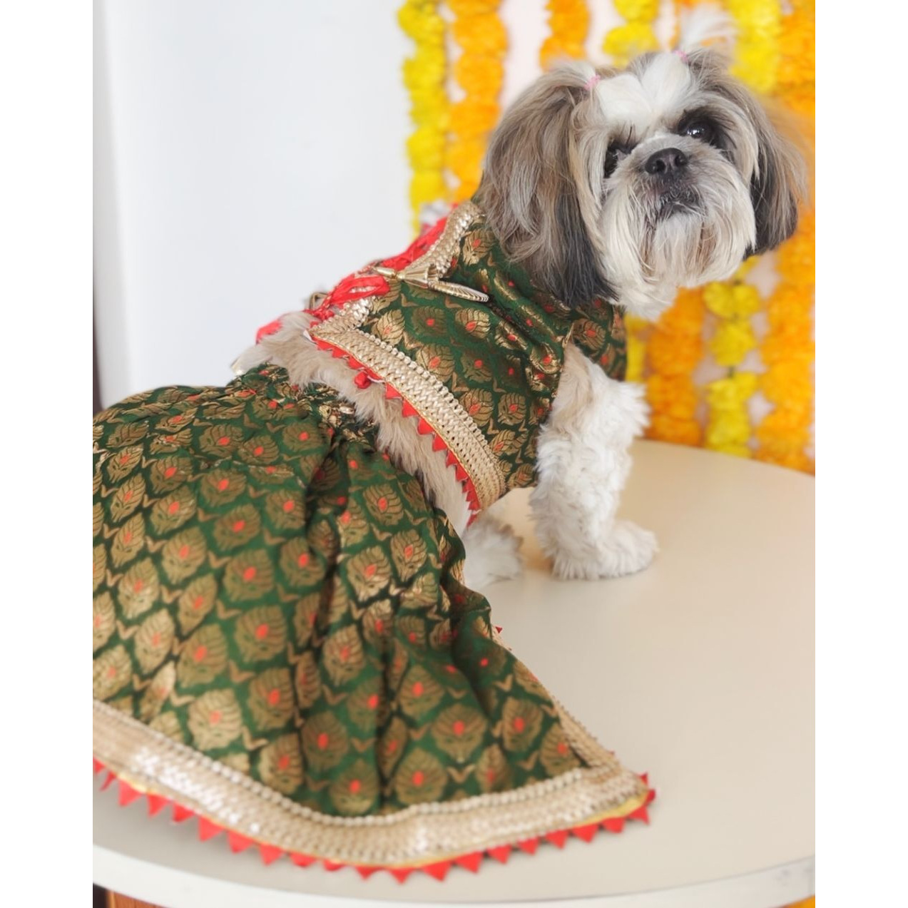 Green Brocade Lehenga | For Dogs | Pawgy Pets