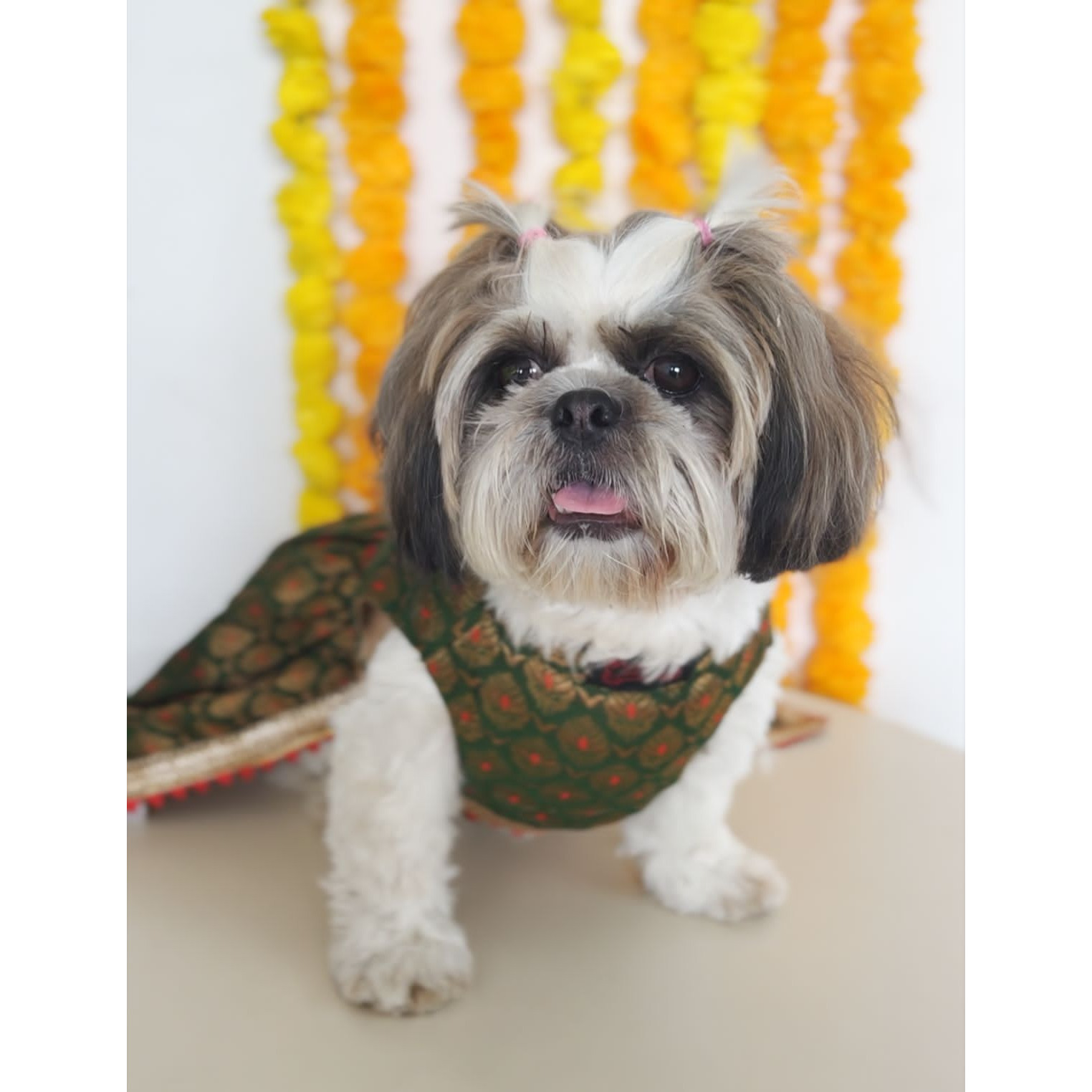 Green Brocade Lehenga | For Dogs | Pawgy Pets