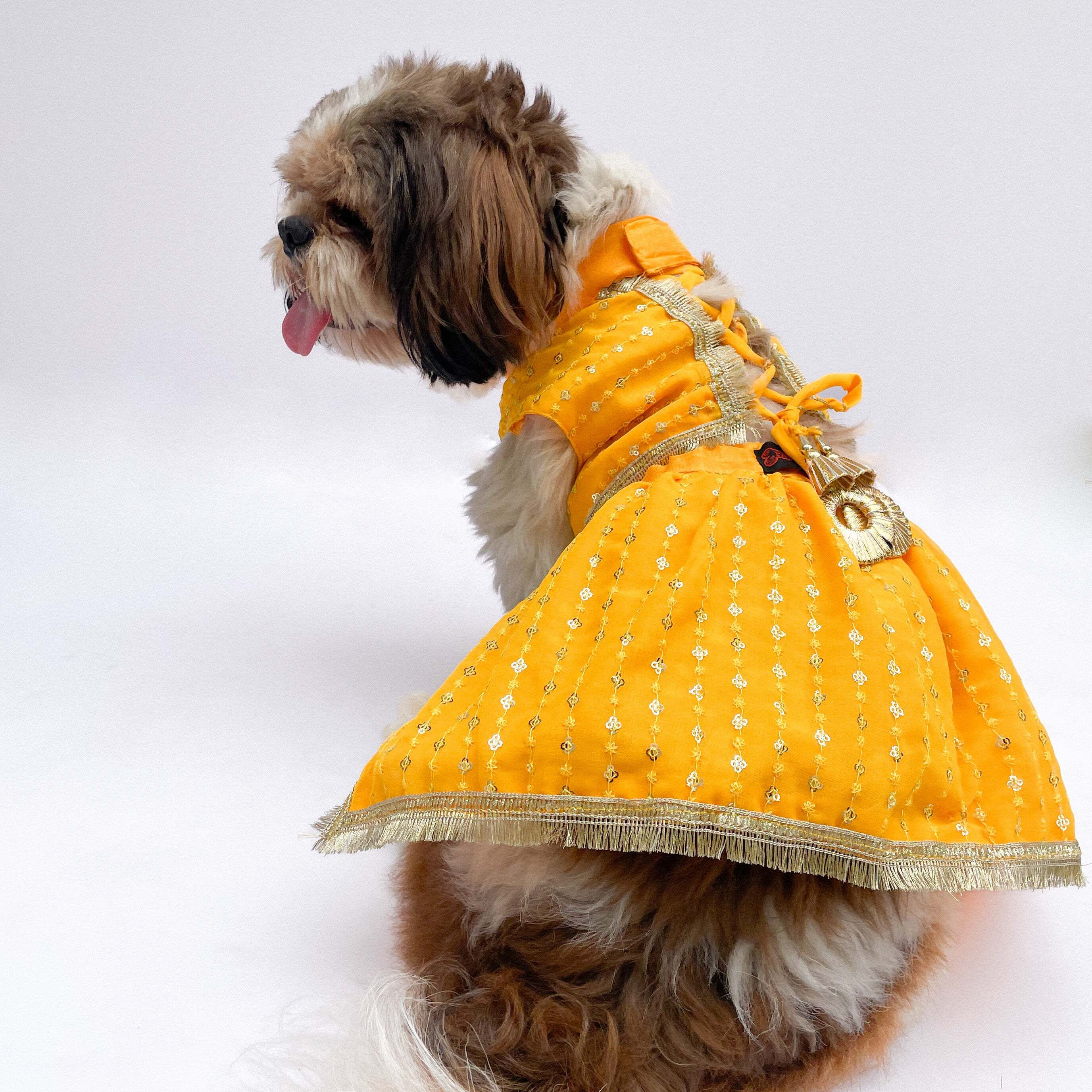 Yellow Pleaty Lehenga | For Dogs | Pawgy Pets