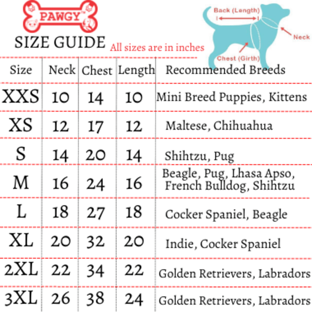 Red Net Lehenga | For Dogs | Pawgy Pets