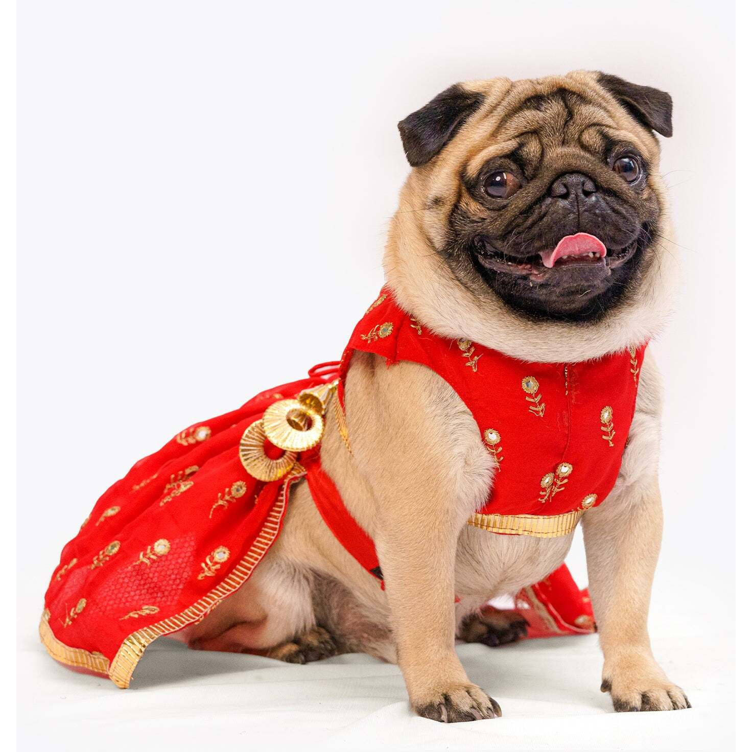 Red Net Lehenga | For Dogs | Pawgy Pets