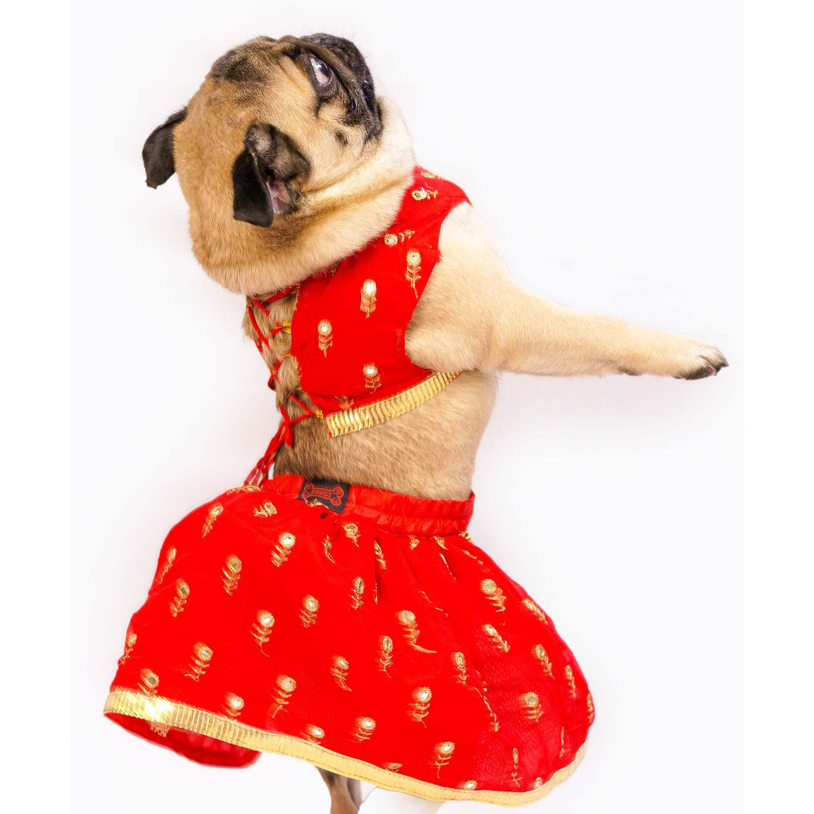 Red Net Lehenga | For Dogs | Pawgy Pets