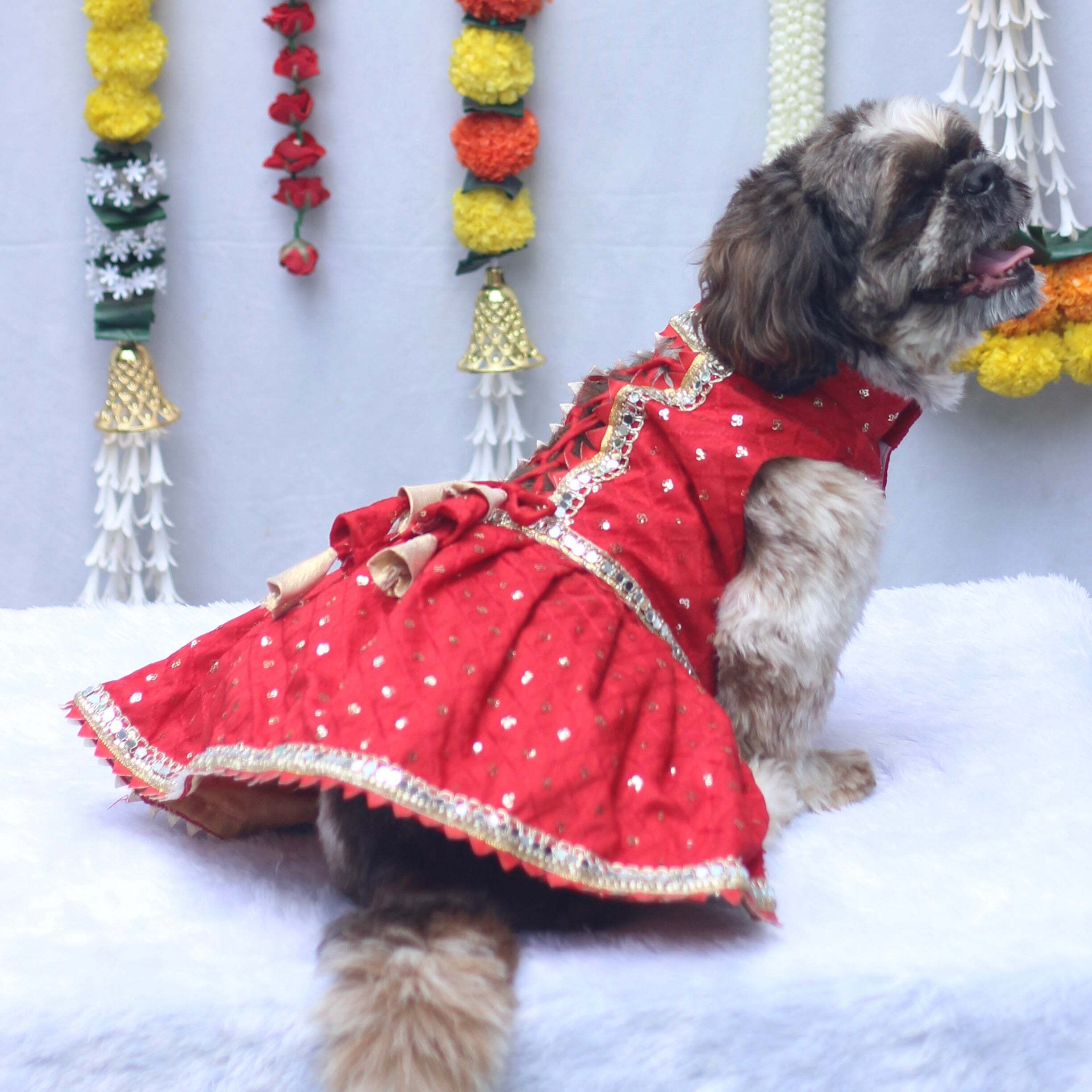 Red Shahi Lehenga Dress | For Dogs | Pawgy Pets