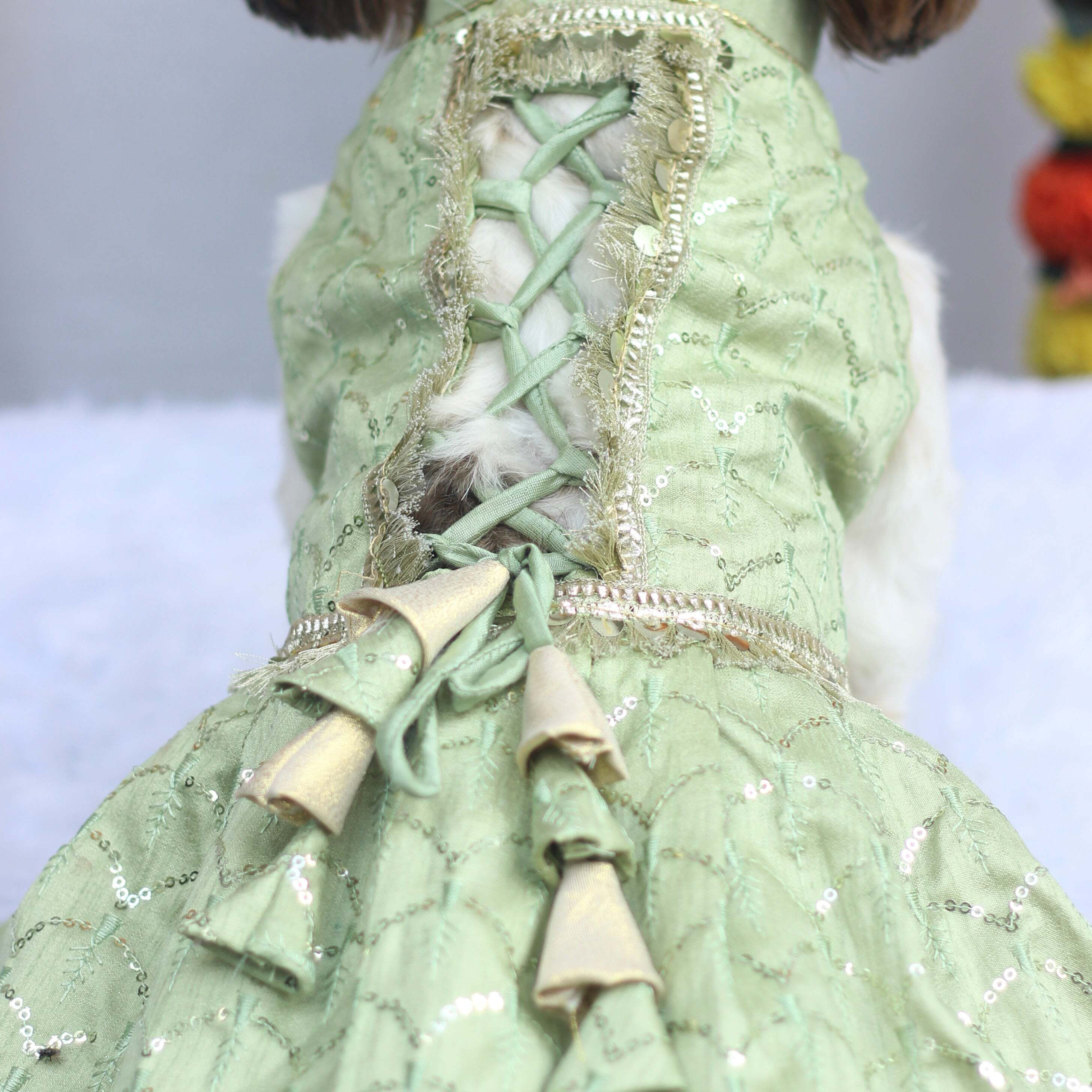 Pastel Green Shahi Lehenga Dress | For Dogs | Pawgy Pets