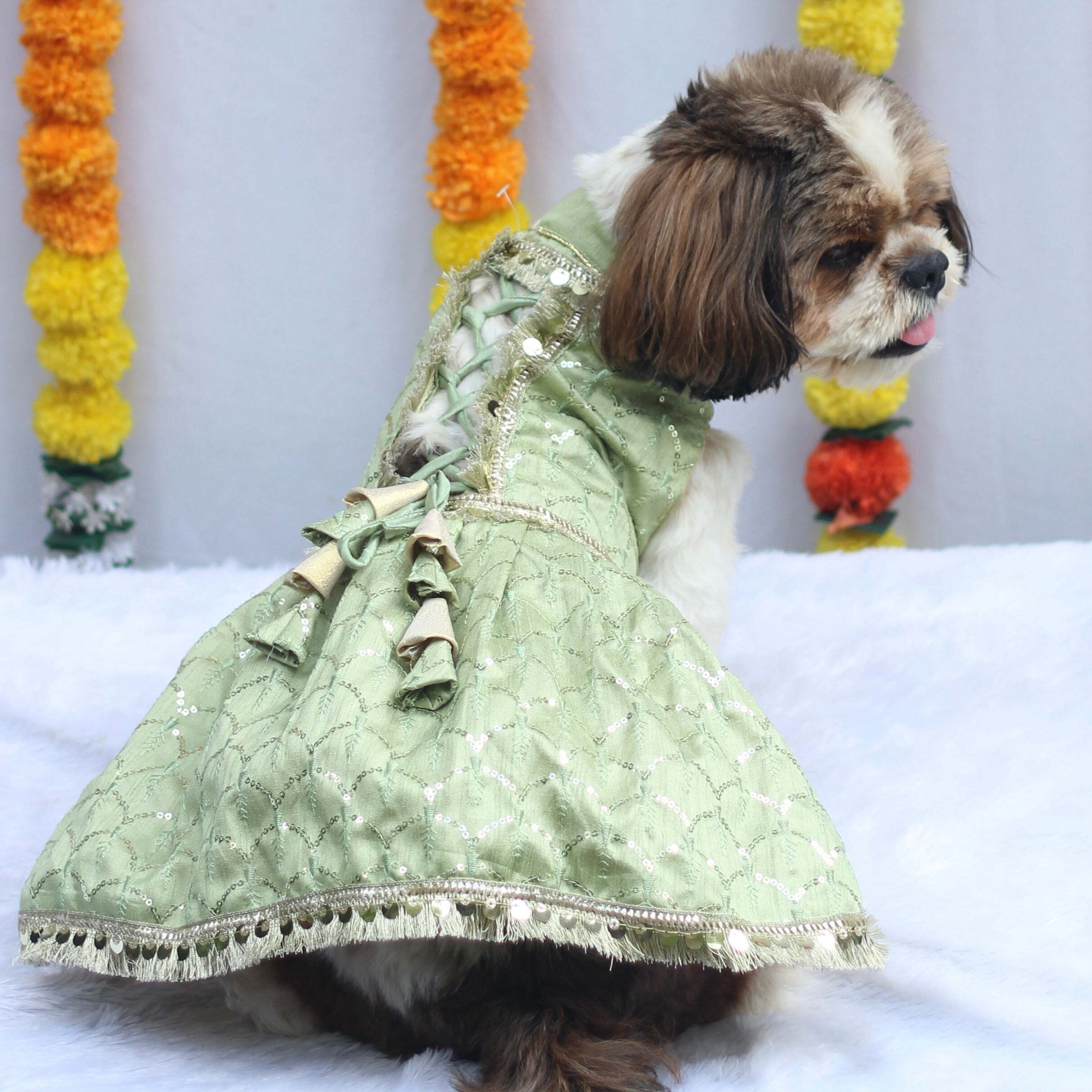 Pastel Green Shahi Lehenga Dress | For Dogs | Pawgy Pets