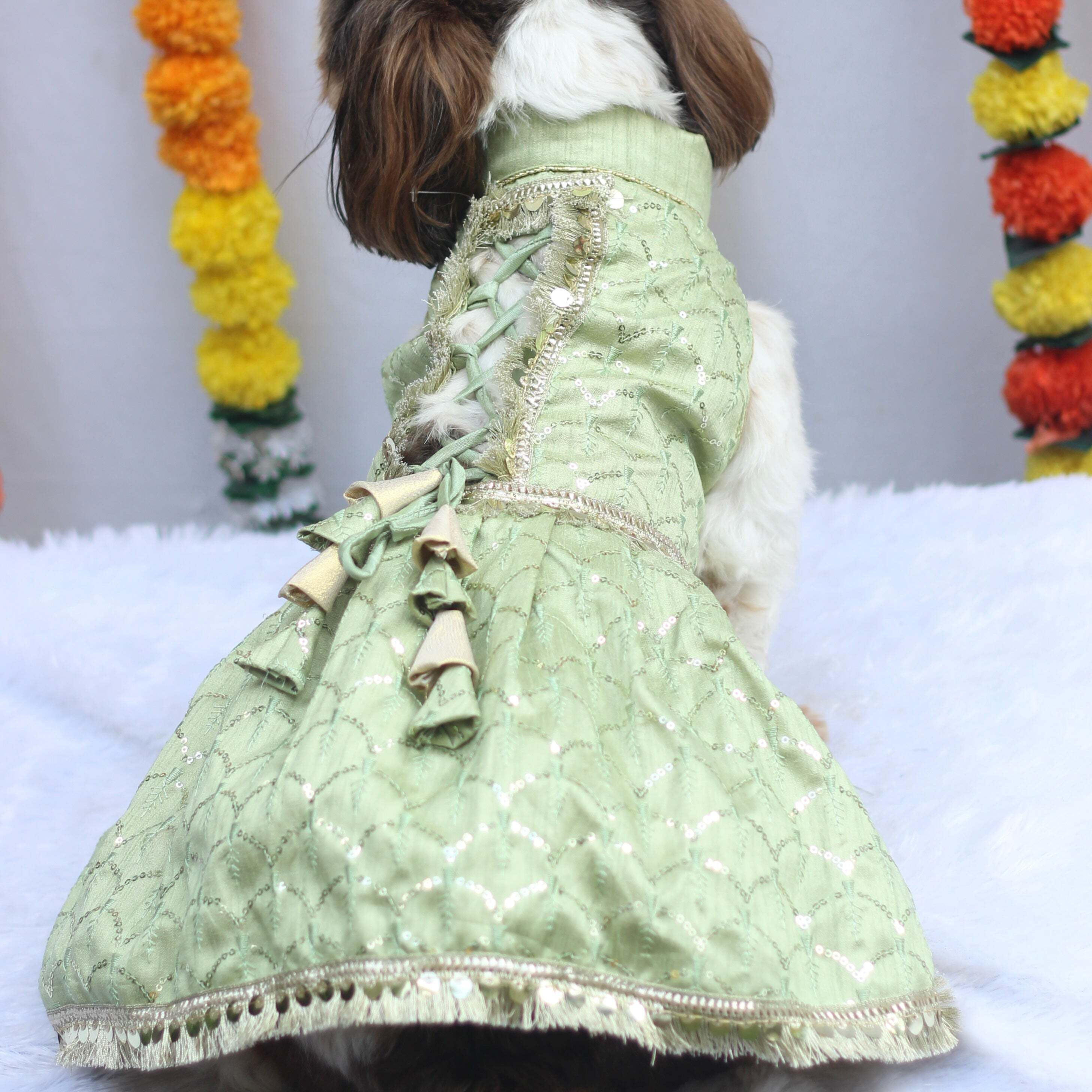 Pastel Green Shahi Lehenga Dress | For Dogs | Pawgy Pets