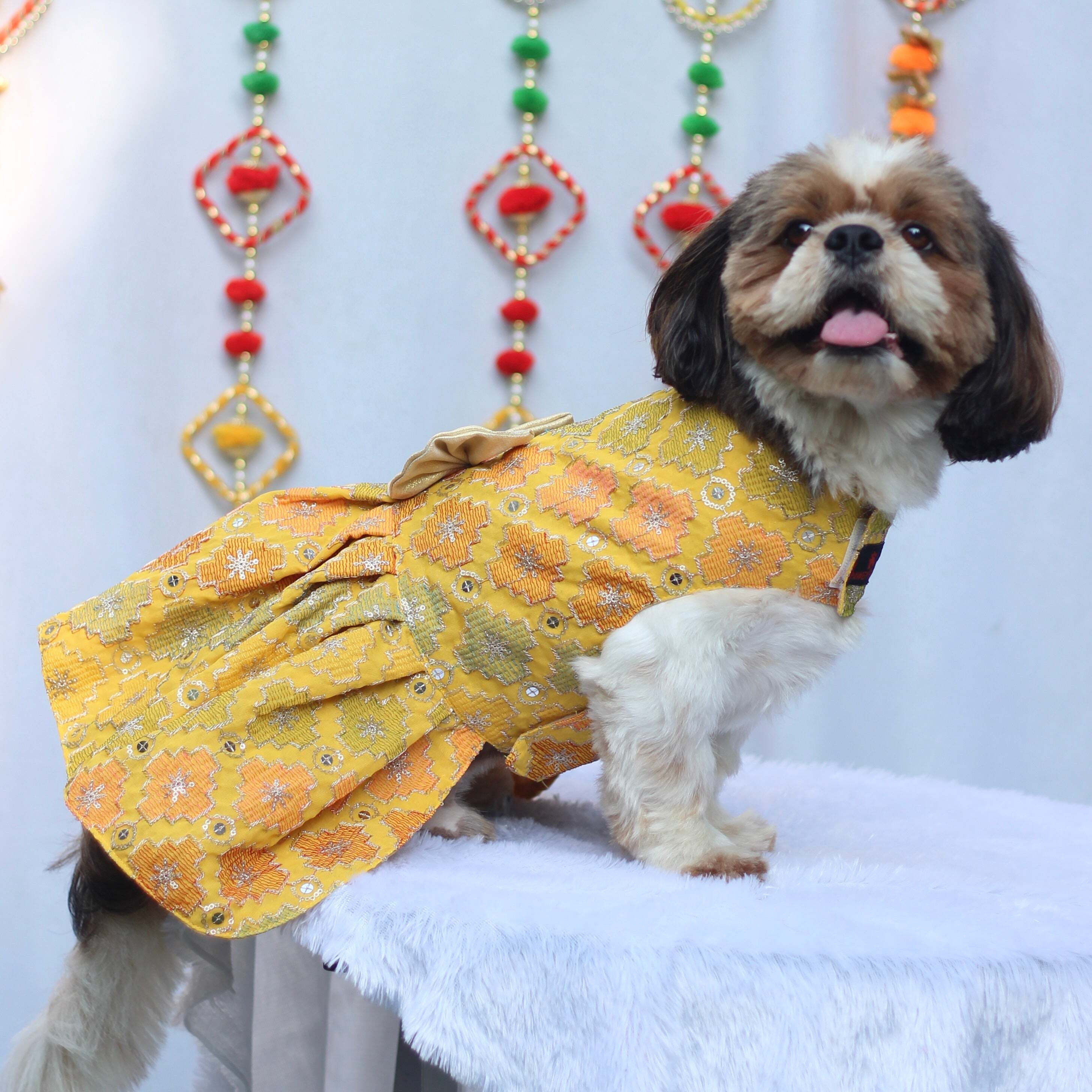 Yellow Patola Festive Dress | For Dogs | Pawgy Pets