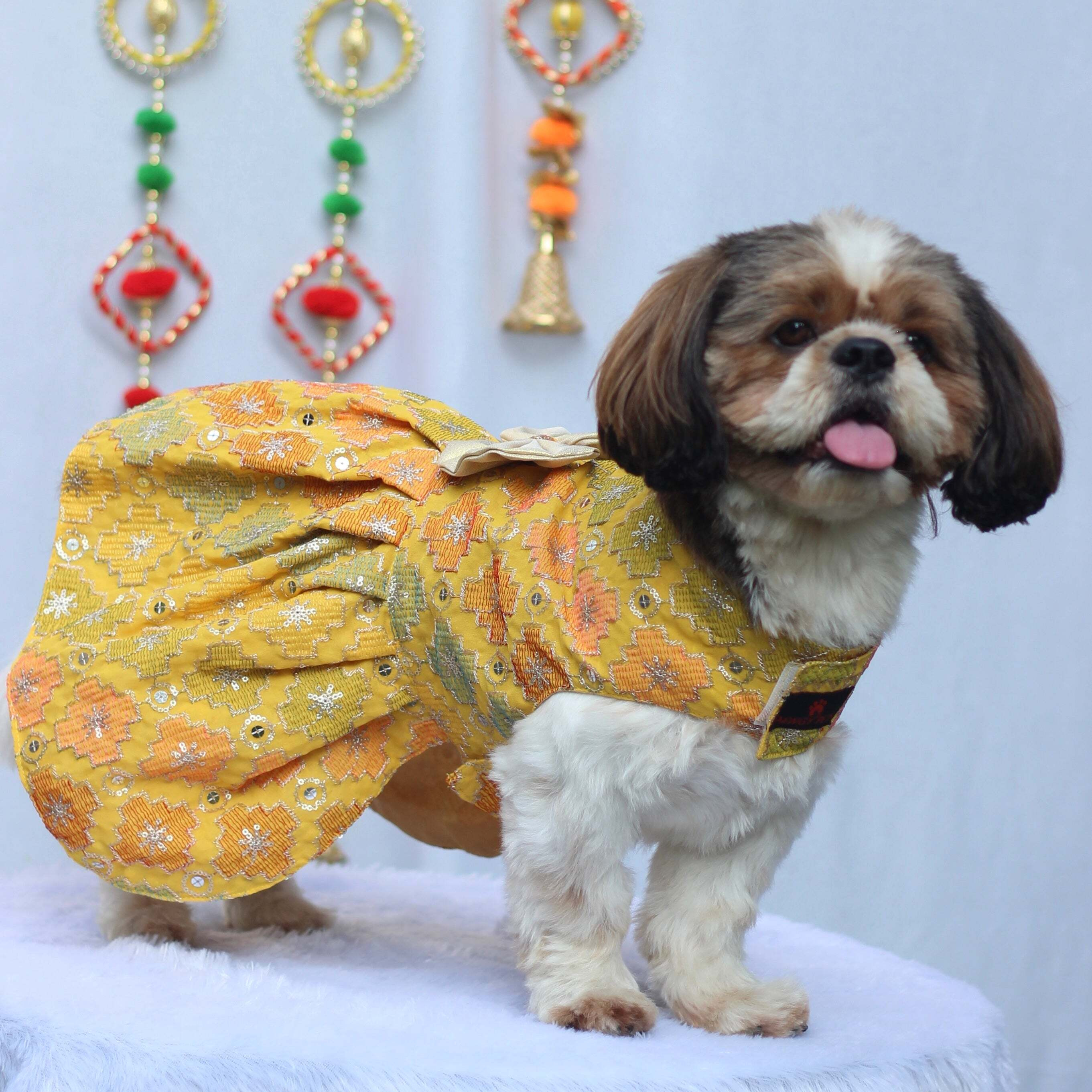 Yellow Patola Festive Dress | For Dogs | Pawgy Pets
