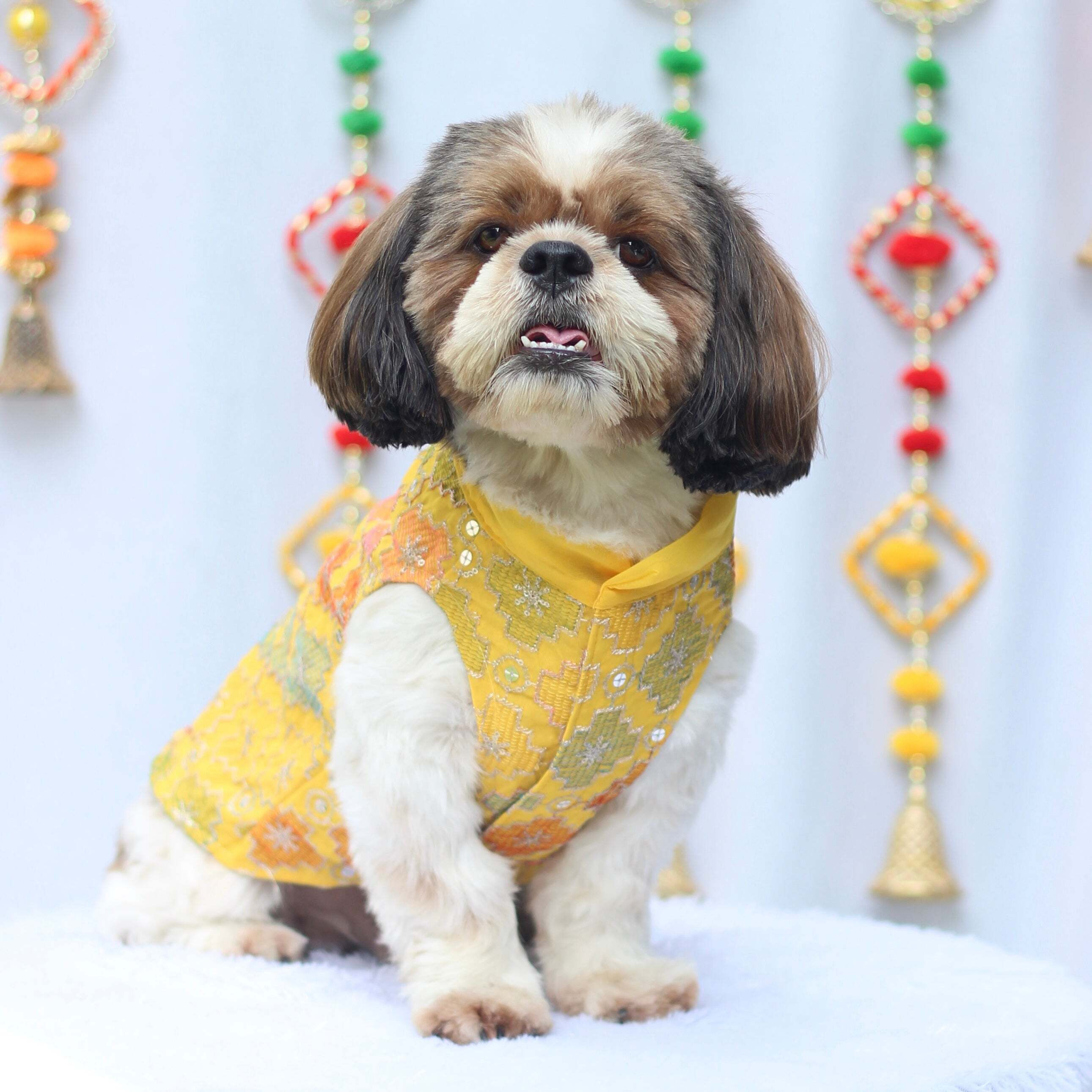 Yellow Patola Festive Kurta | For Dogs | Pawgy Pets