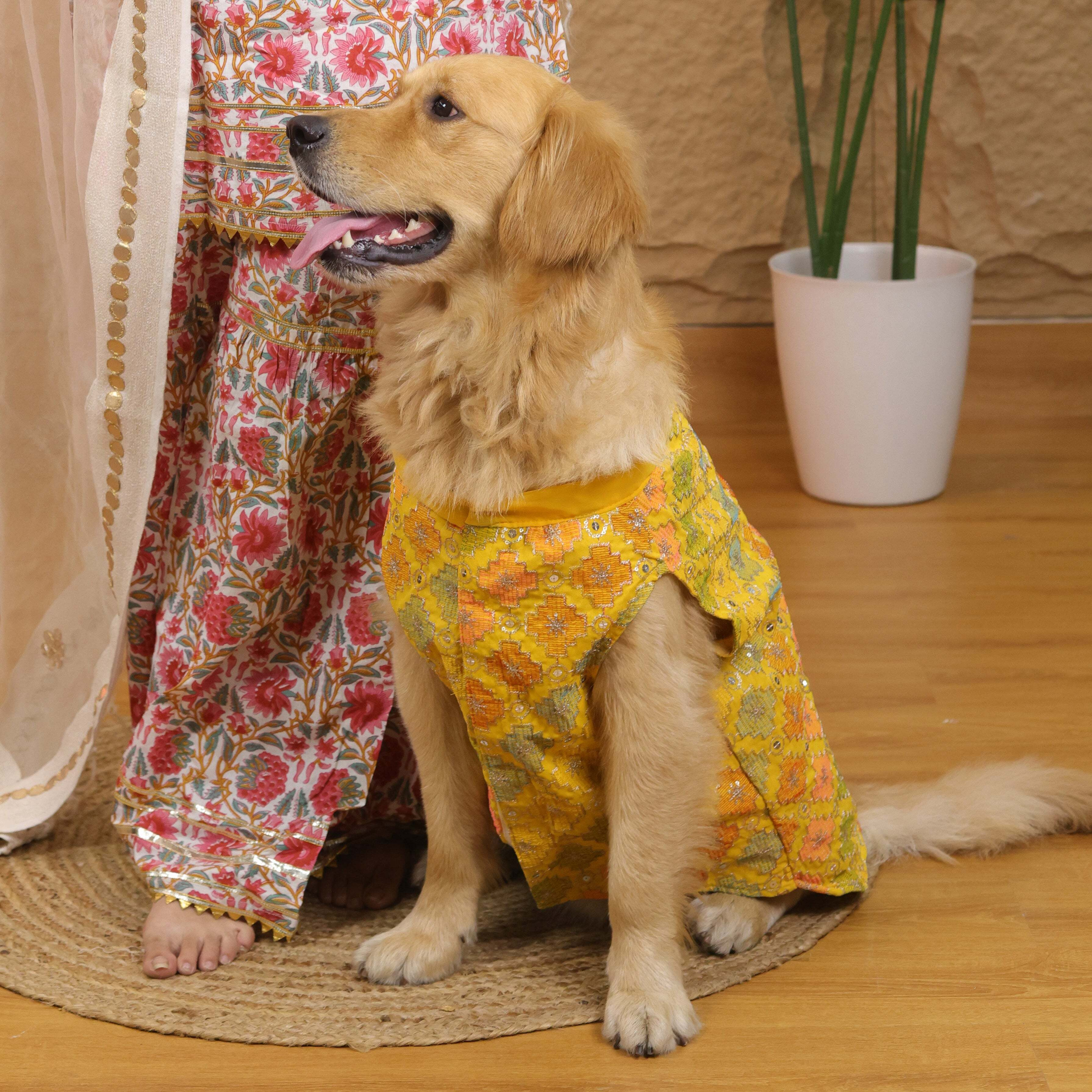Yellow Patola Festive Kurta | For Dogs | Pawgy Pets
