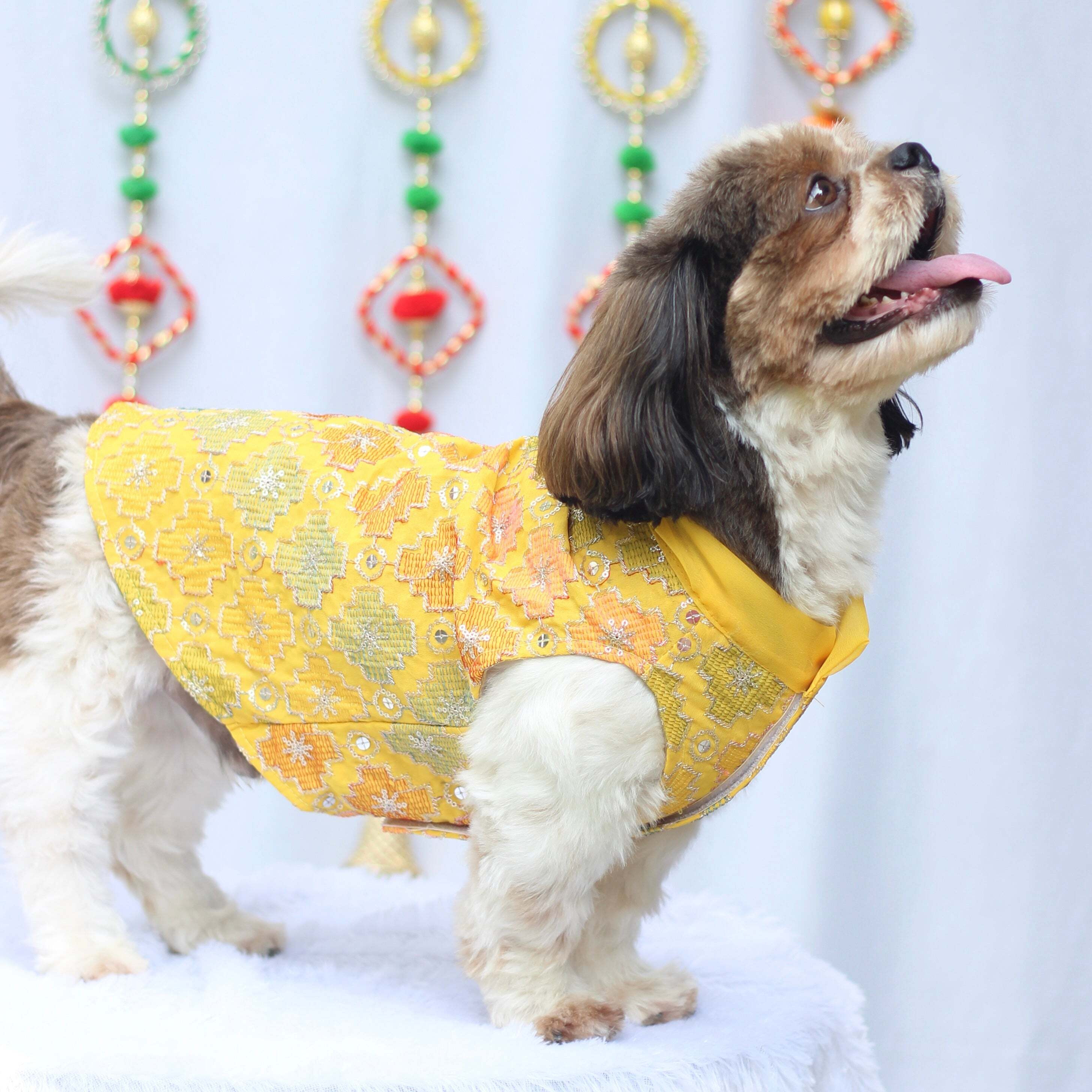 Yellow Patola Festive Kurta | For Dogs | Pawgy Pets