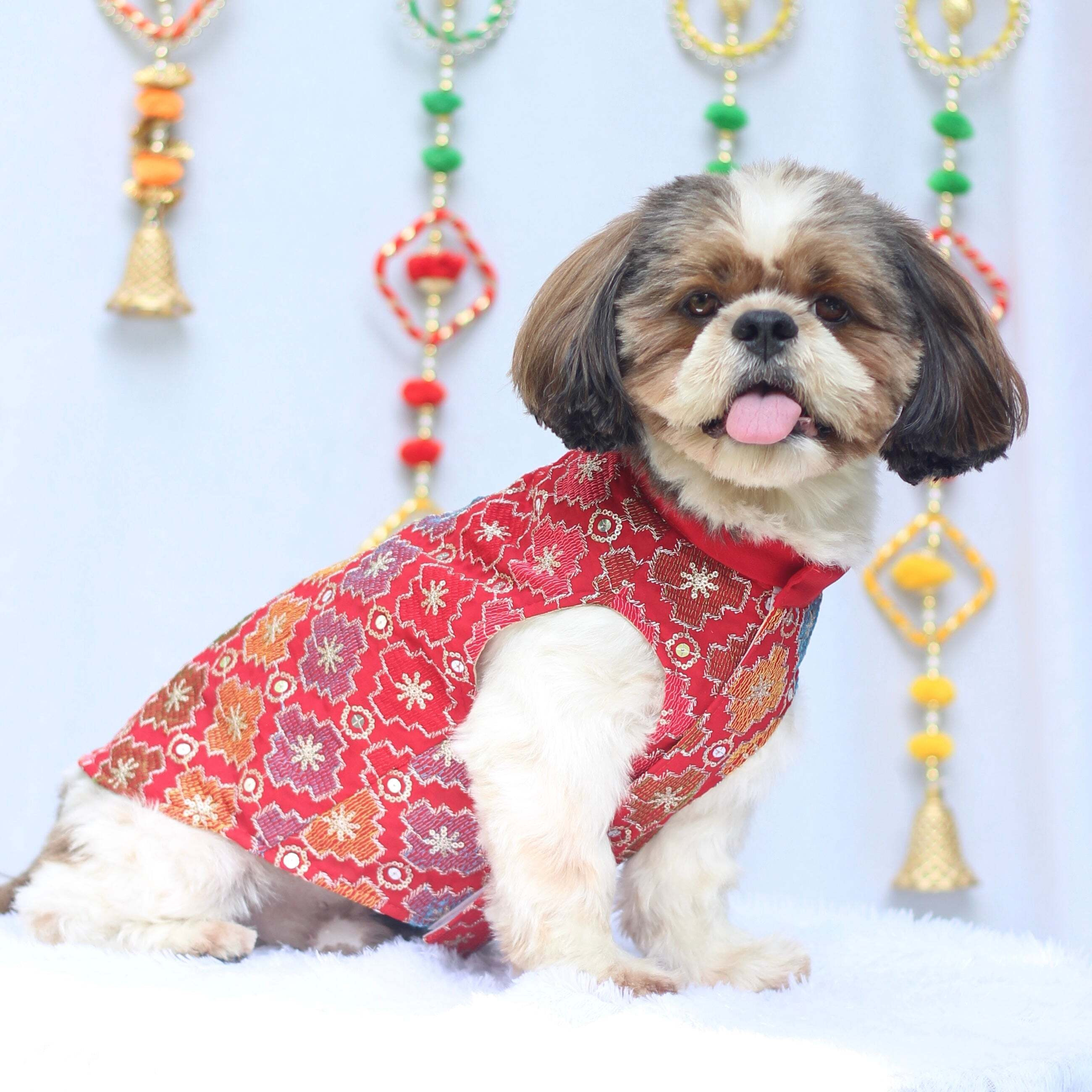 Red Patola Festive Kurta | For Dogs | Pawgy Pets