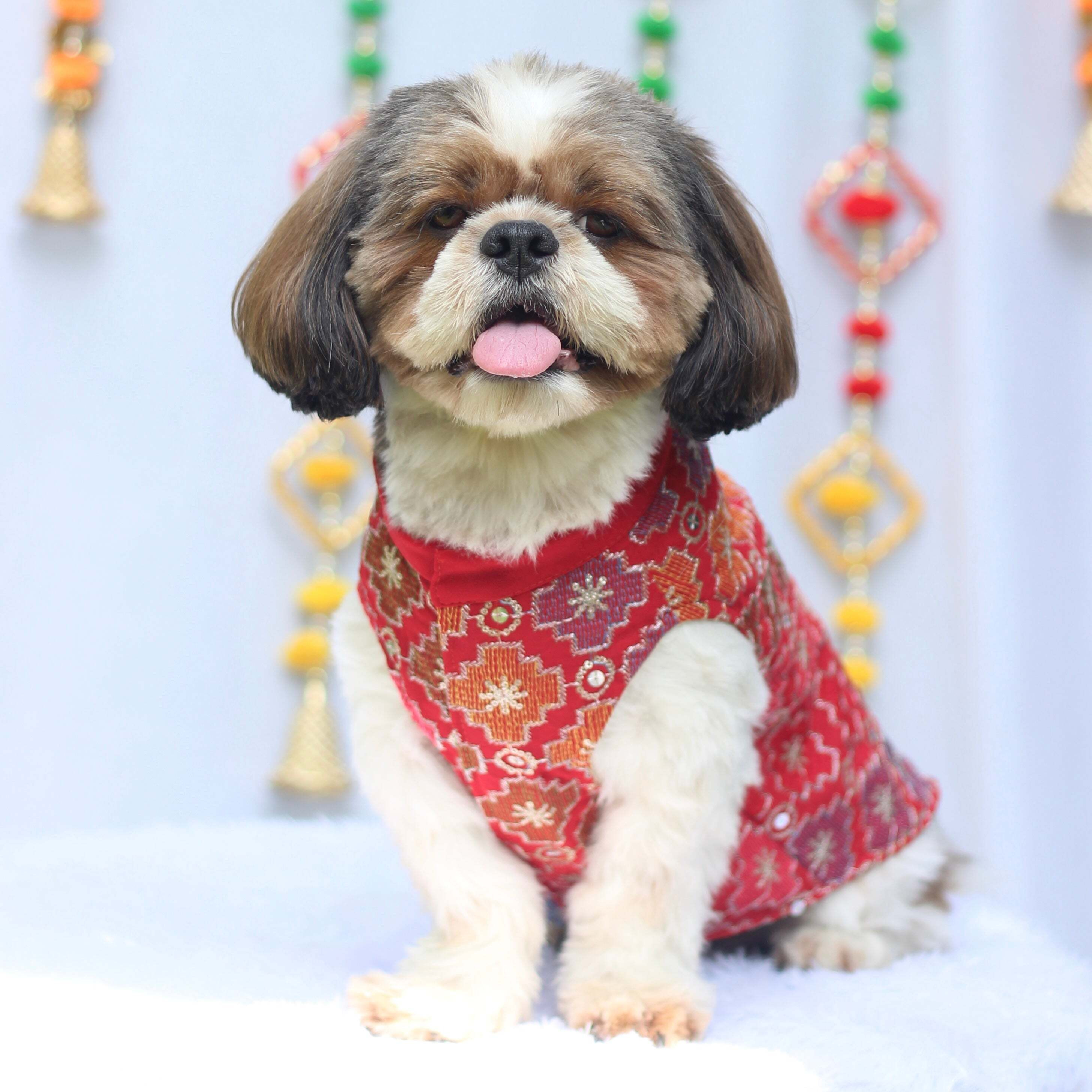 Red Patola Festive Kurta | For Dogs | Pawgy Pets