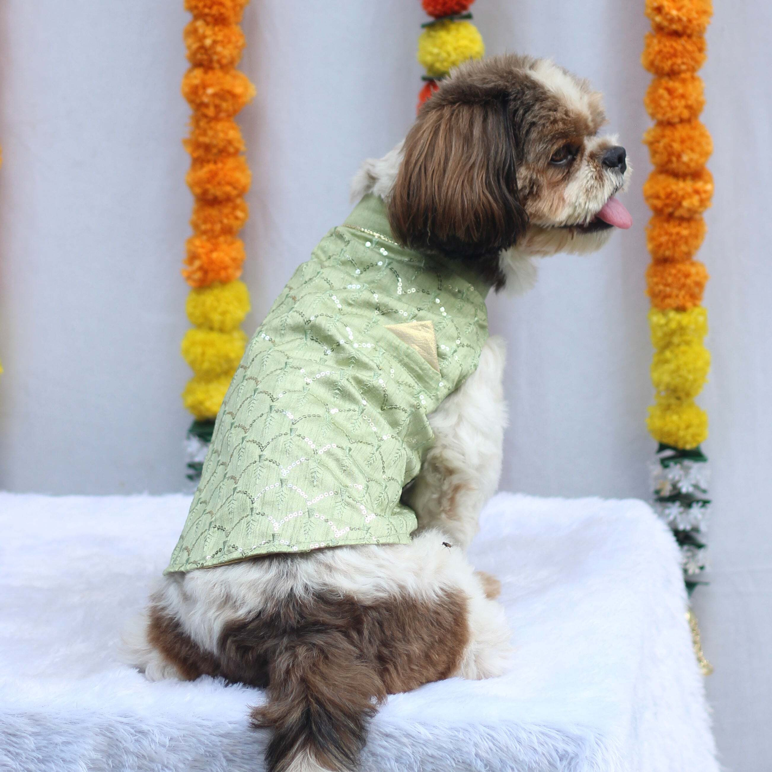 Pastel Green Shahi Kurta | For Dogs | Pawgy Pets