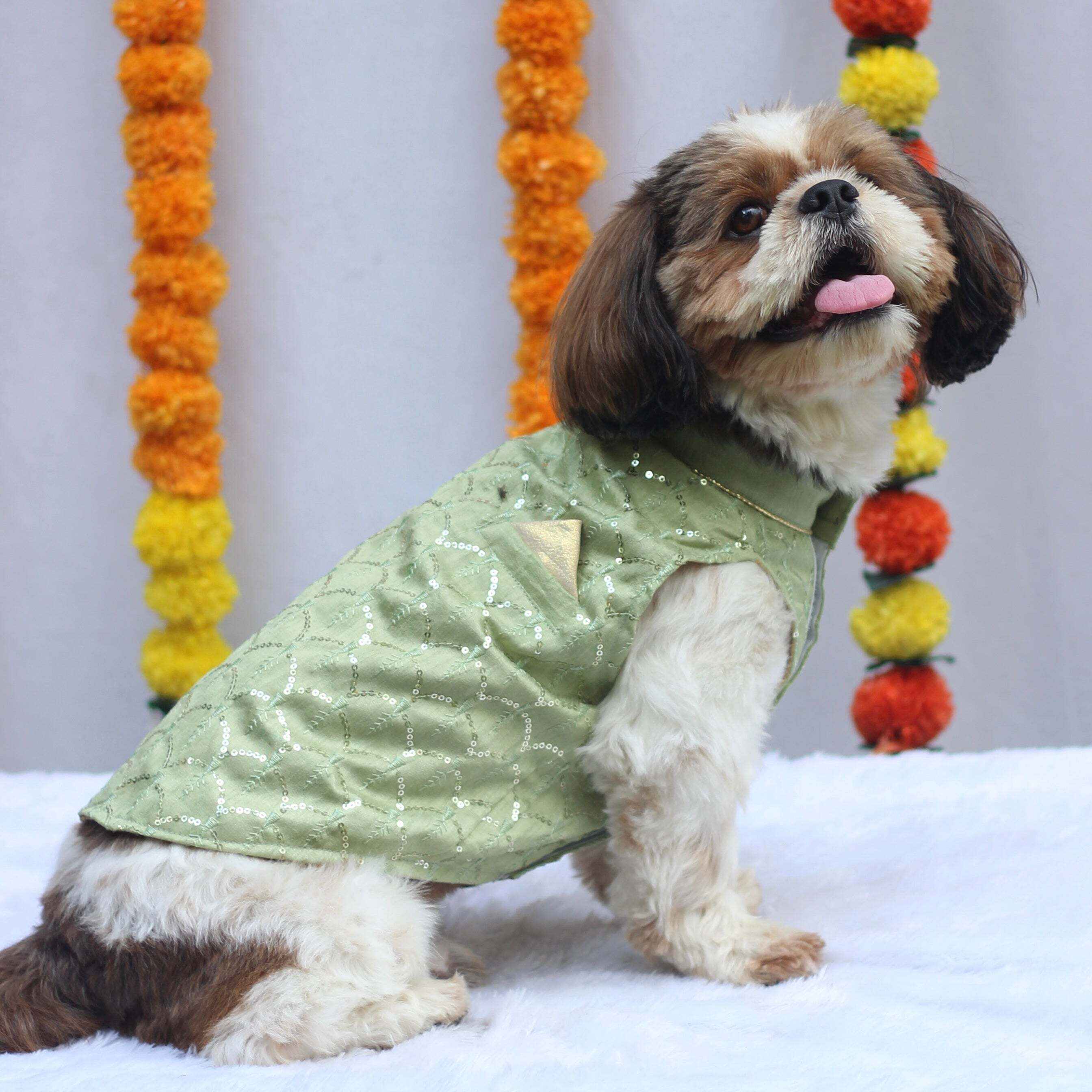 Pastel Green Shahi Kurta | For Dogs | Pawgy Pets