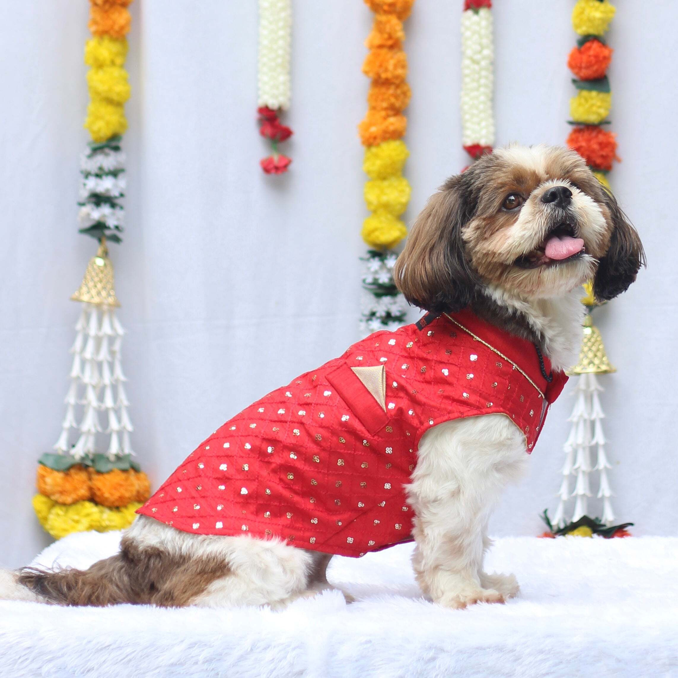 Red Shahi Kurta | For Dogs | Pawgy Pets