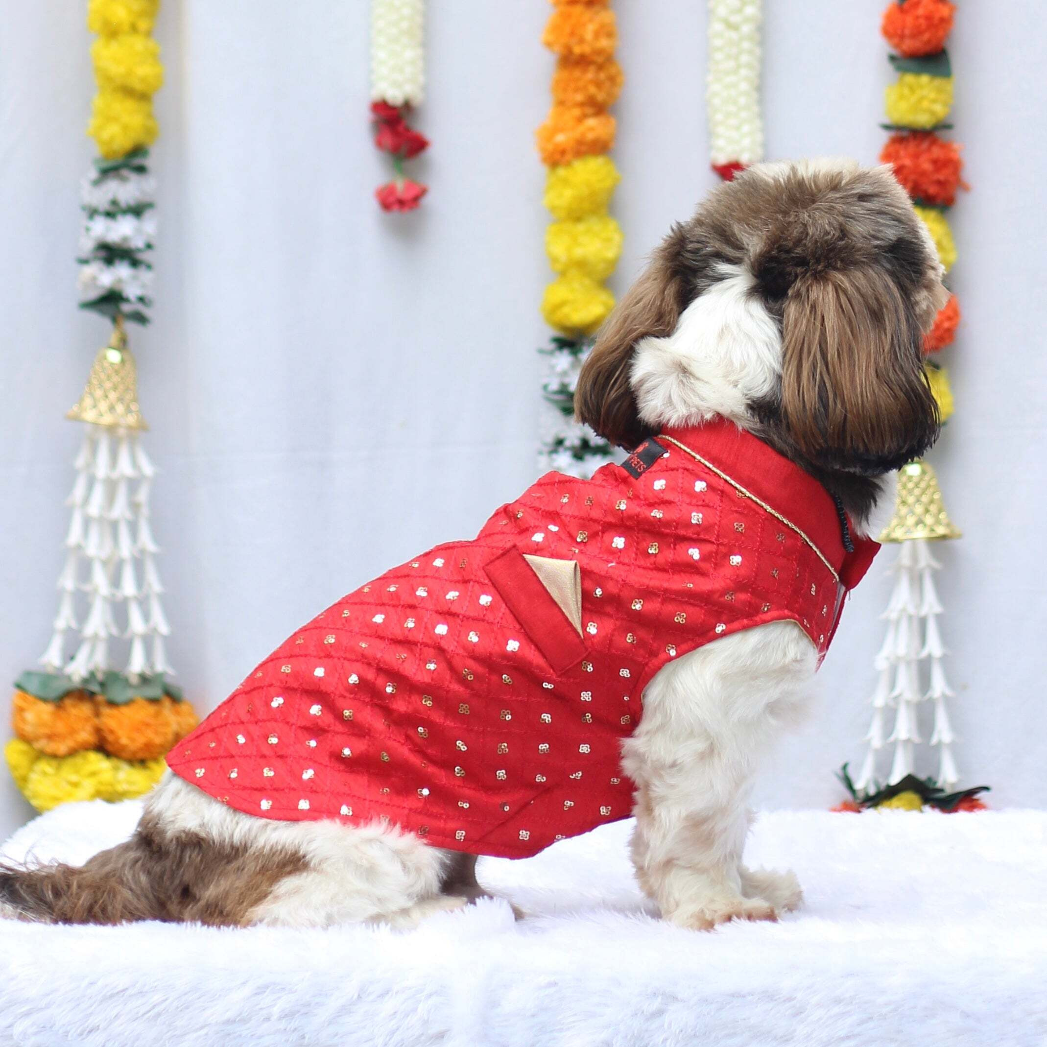 Red Shahi Kurta | For Dogs | Pawgy Pets