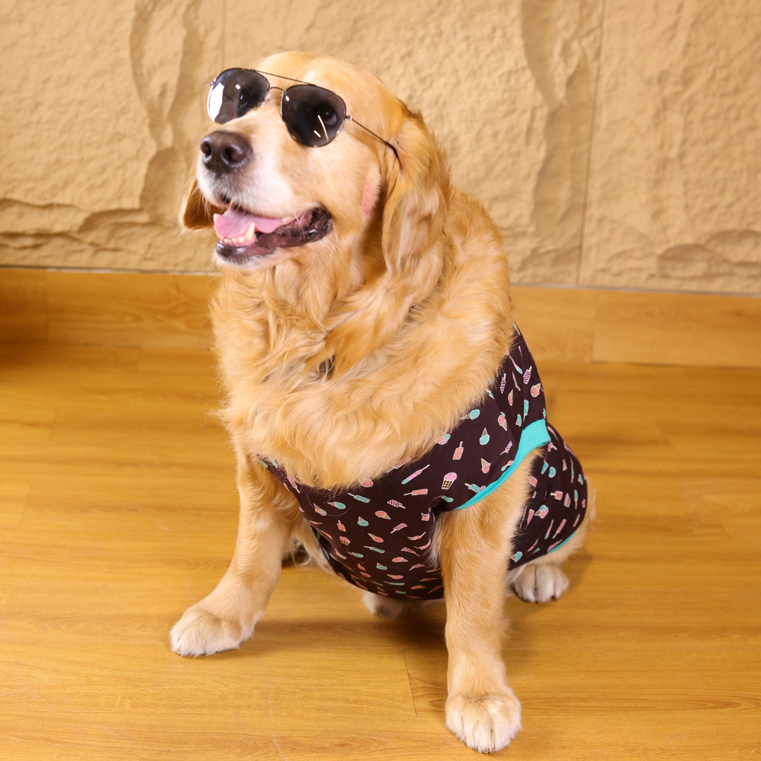 Ice Cream T-shirt | Brown | For Dogs | Pawgy Pets