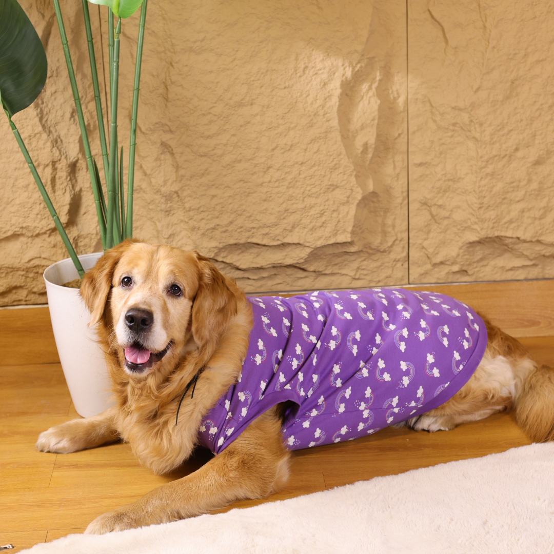 Rainbow T-shirt | Purple | For Dogs | Pawgy Pets