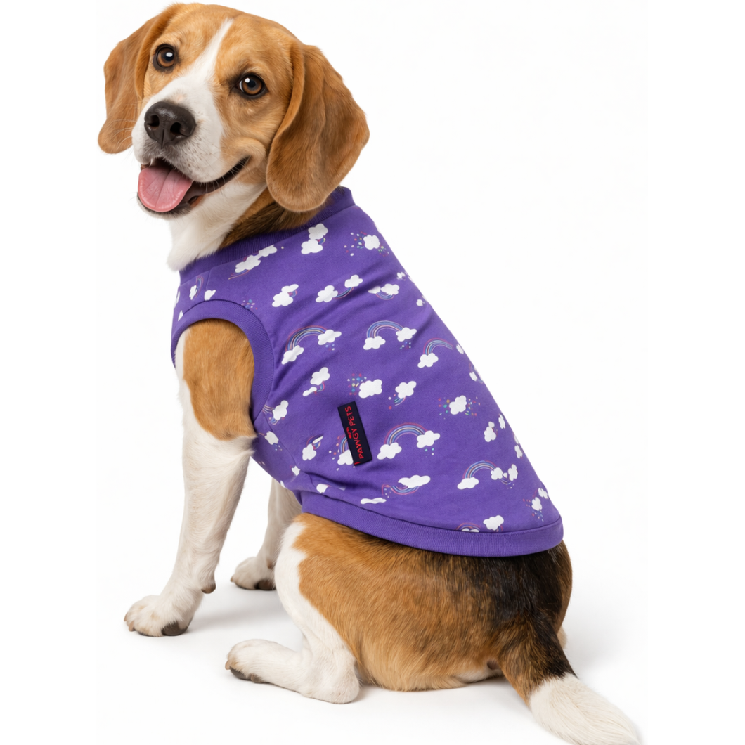Rainbow T-shirt | Purple | For Dogs | Pawgy Pets