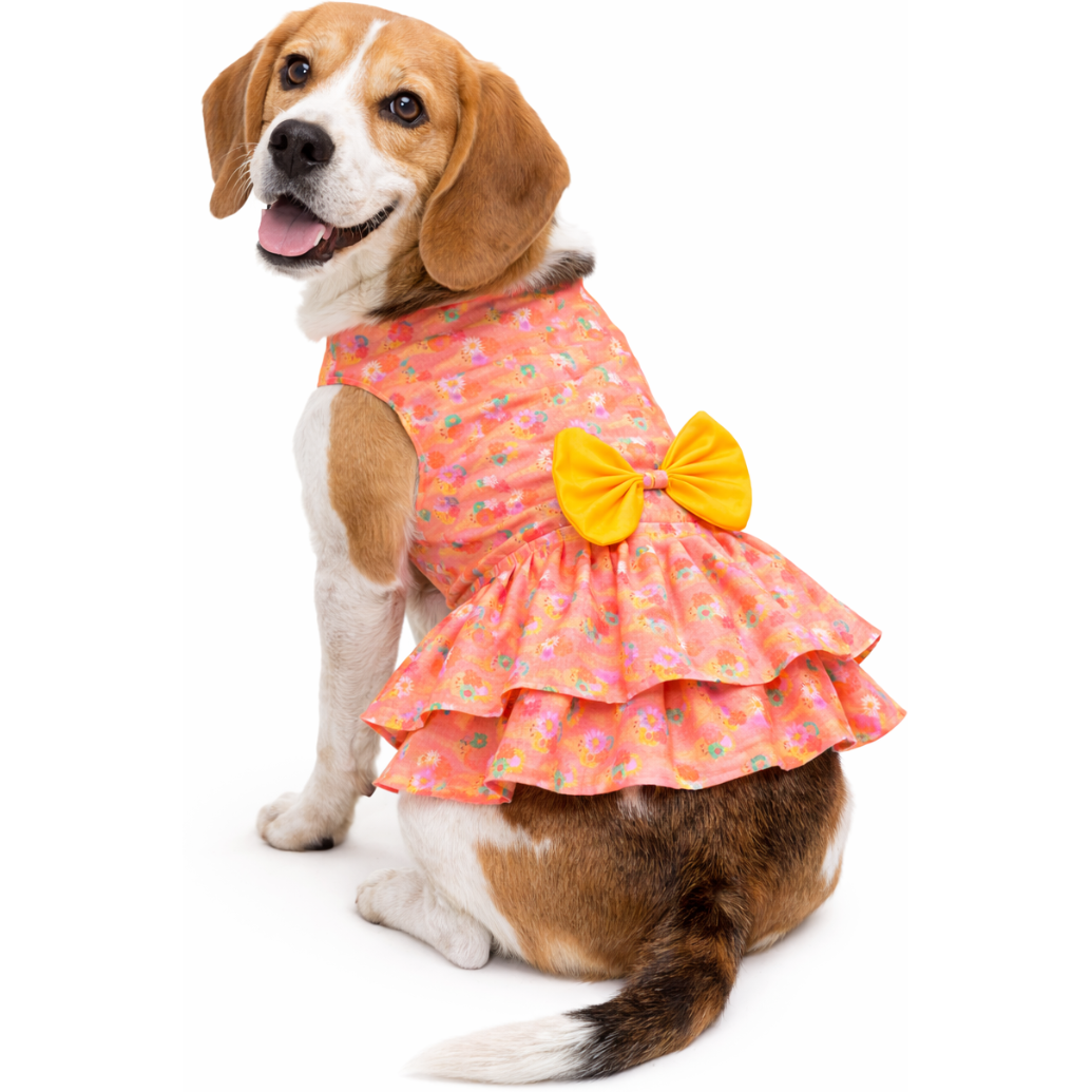 Softy Dress | Peach | For Dogs | Pawgy Pets