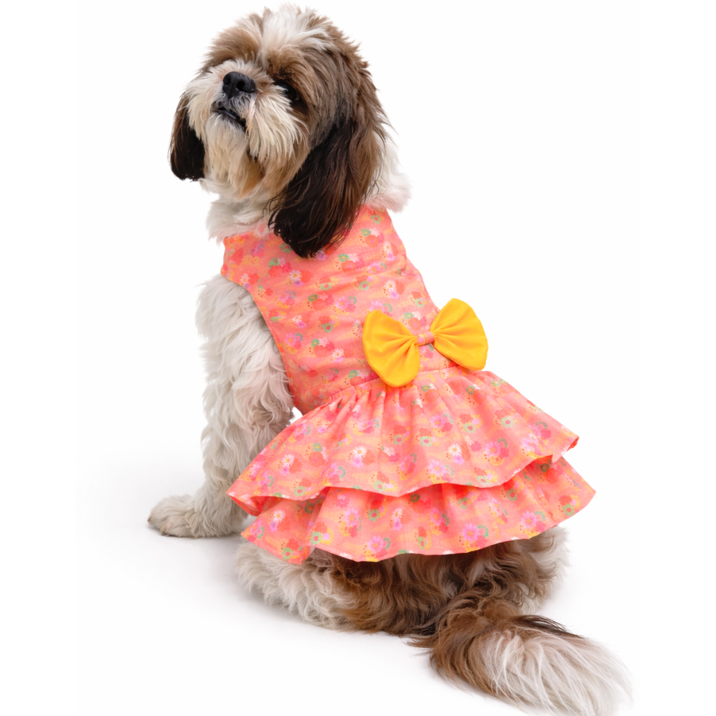 Softy Dress | Peach | For Dogs | Pawgy Pets