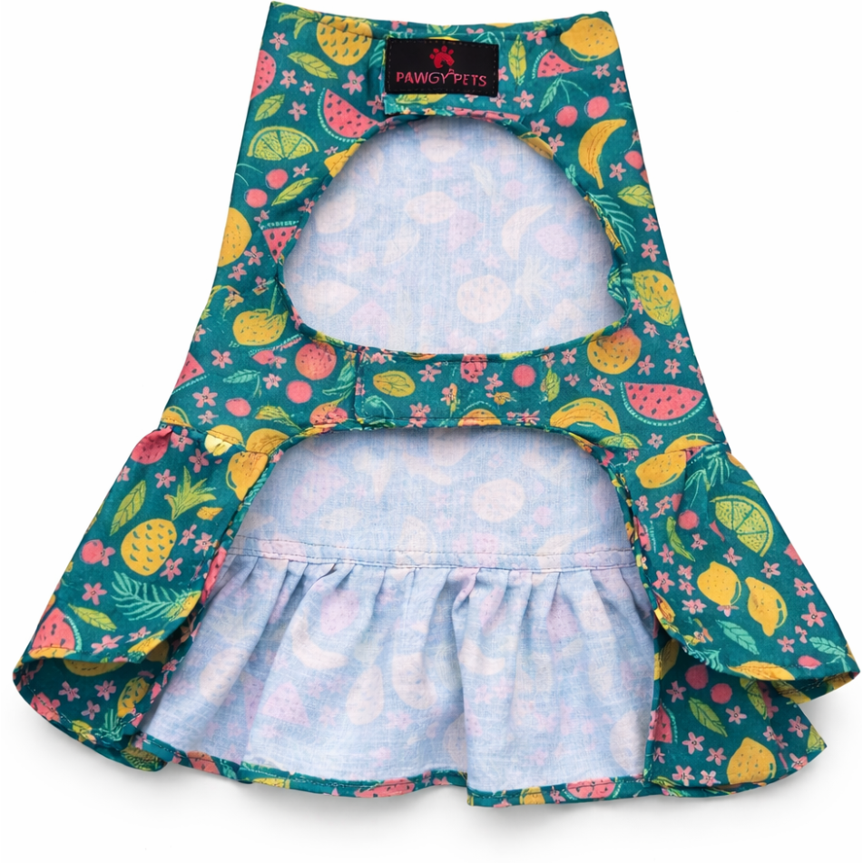 Fruity Dress | Green | For Dogs | Pawgy Pets