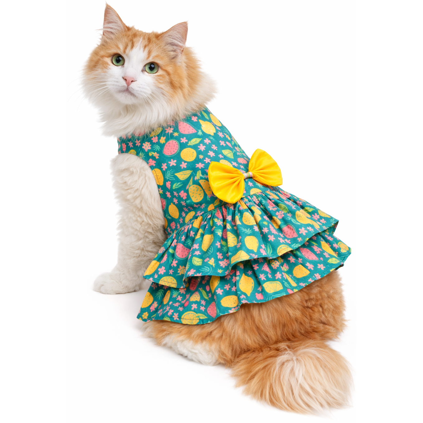 Fruity Dress | Green | For Dogs | Pawgy Pets